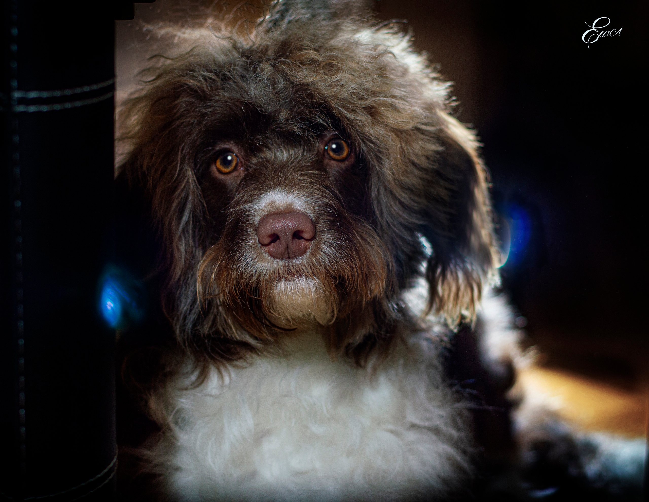 Le monde autour de nous. Photographe de famille à Montréal Ewa Molchanovskaya