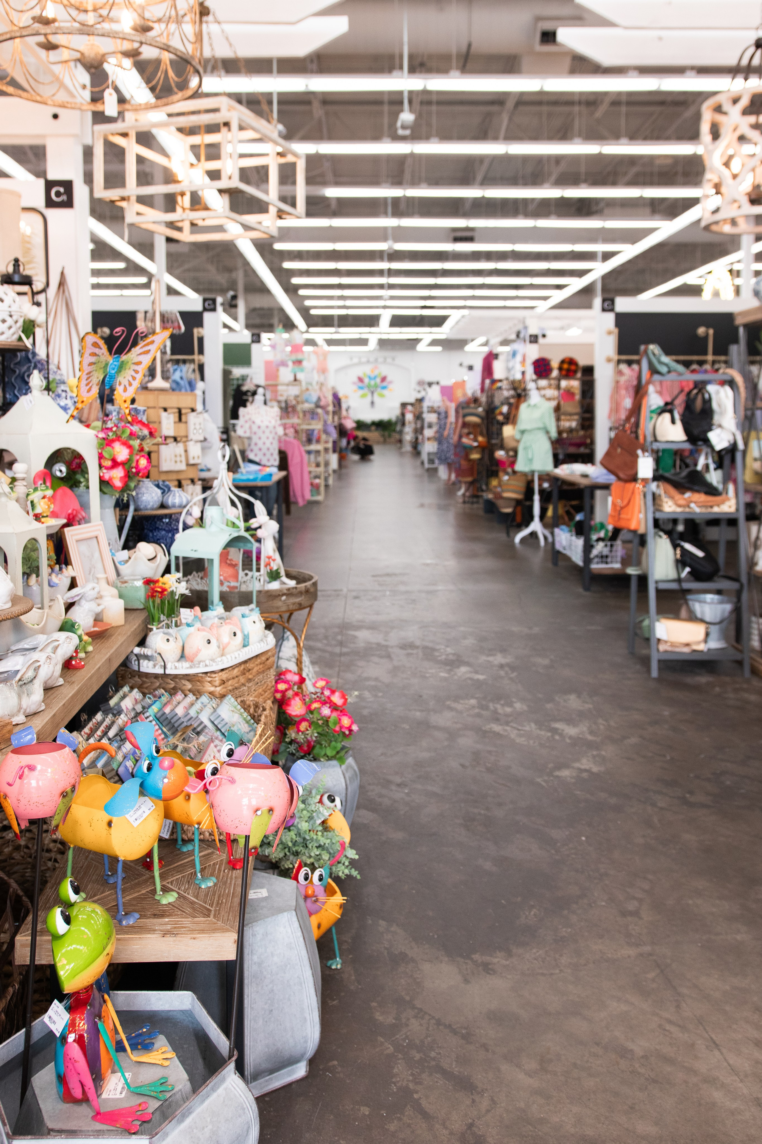 Painted Tree Boutiques retail photography for the summer season