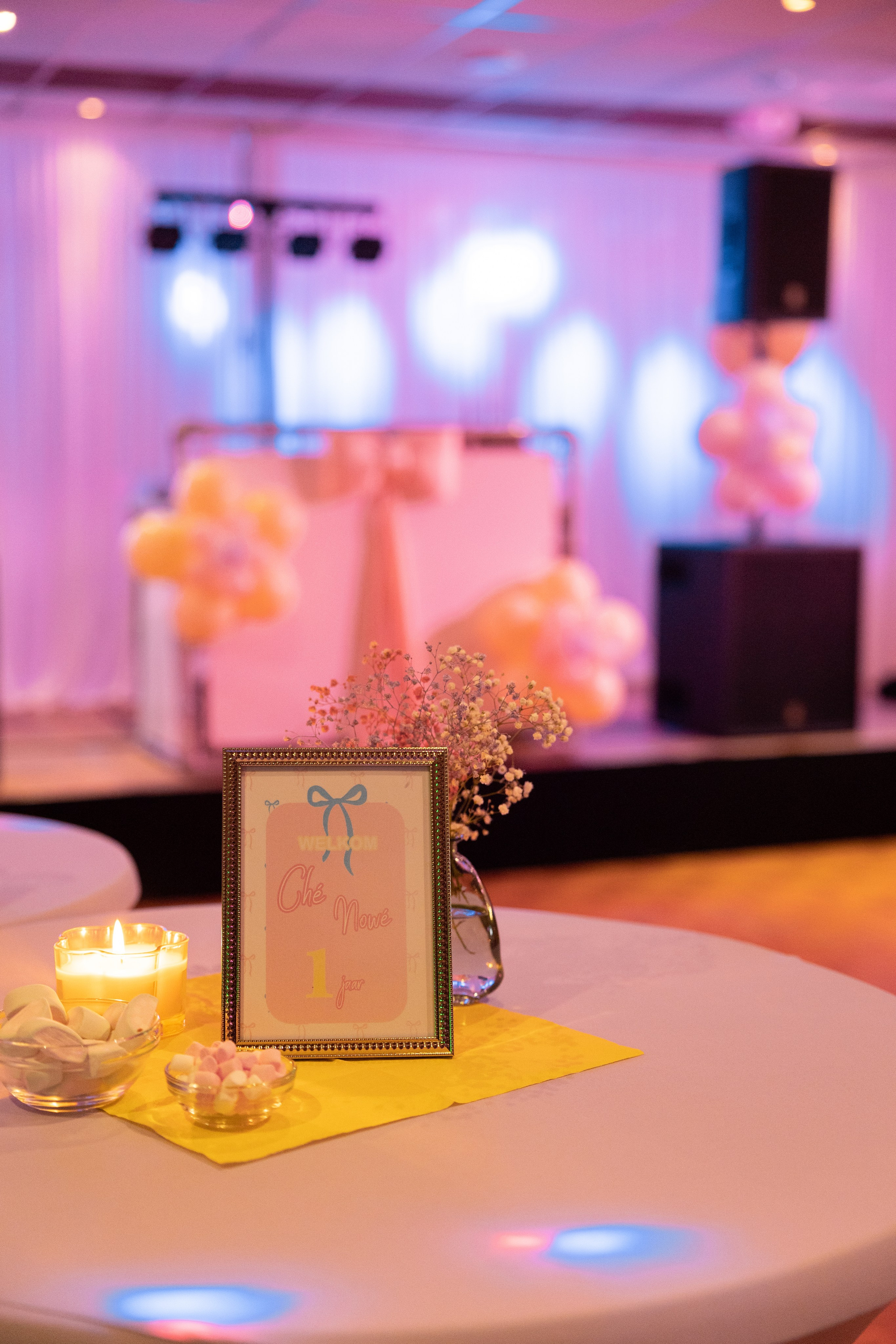 1 st Birthday. Portrait and Family Photographer in Netherlands