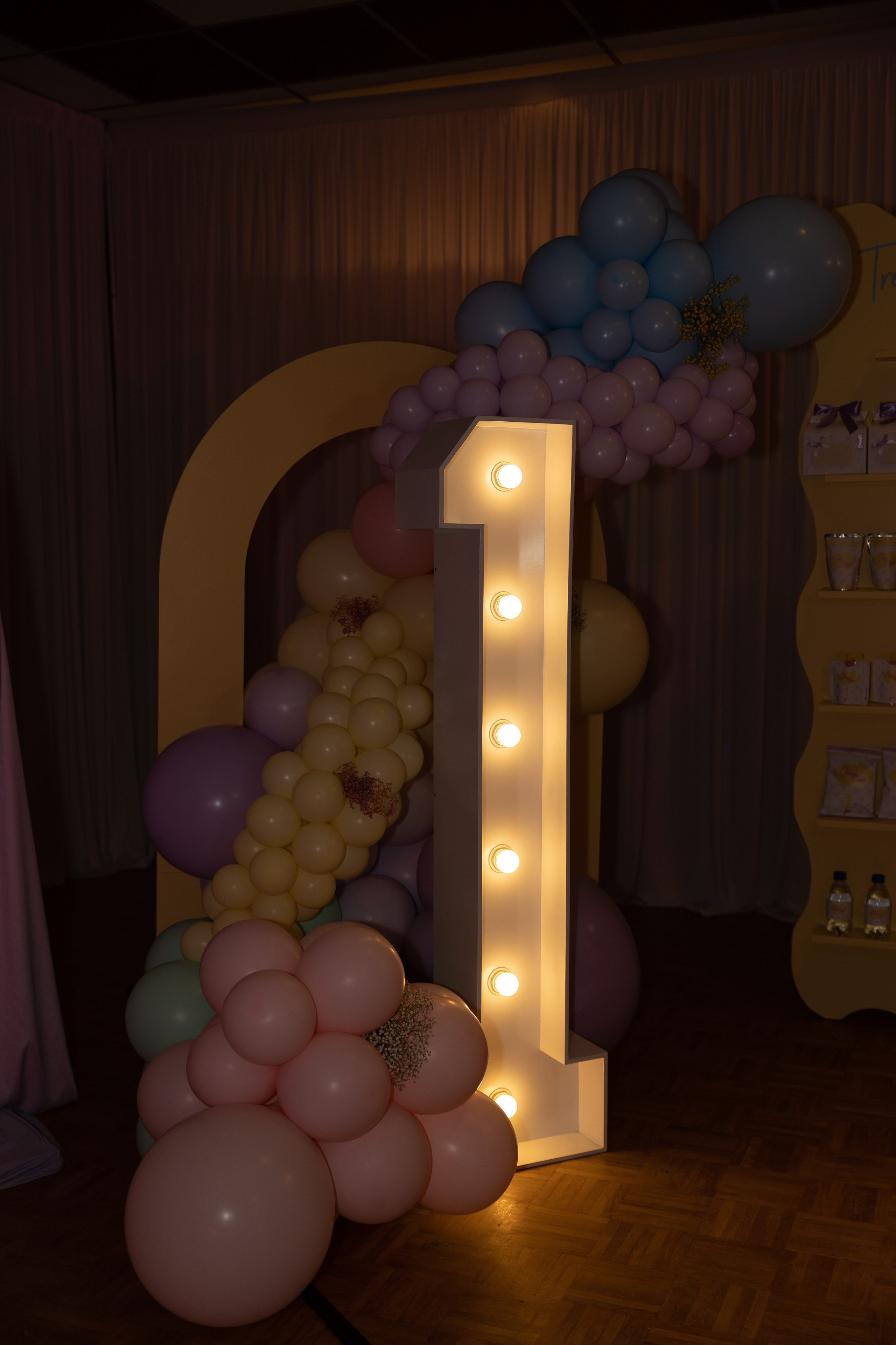 1 st Birthday. Portrait and Family Photographer in Netherlands