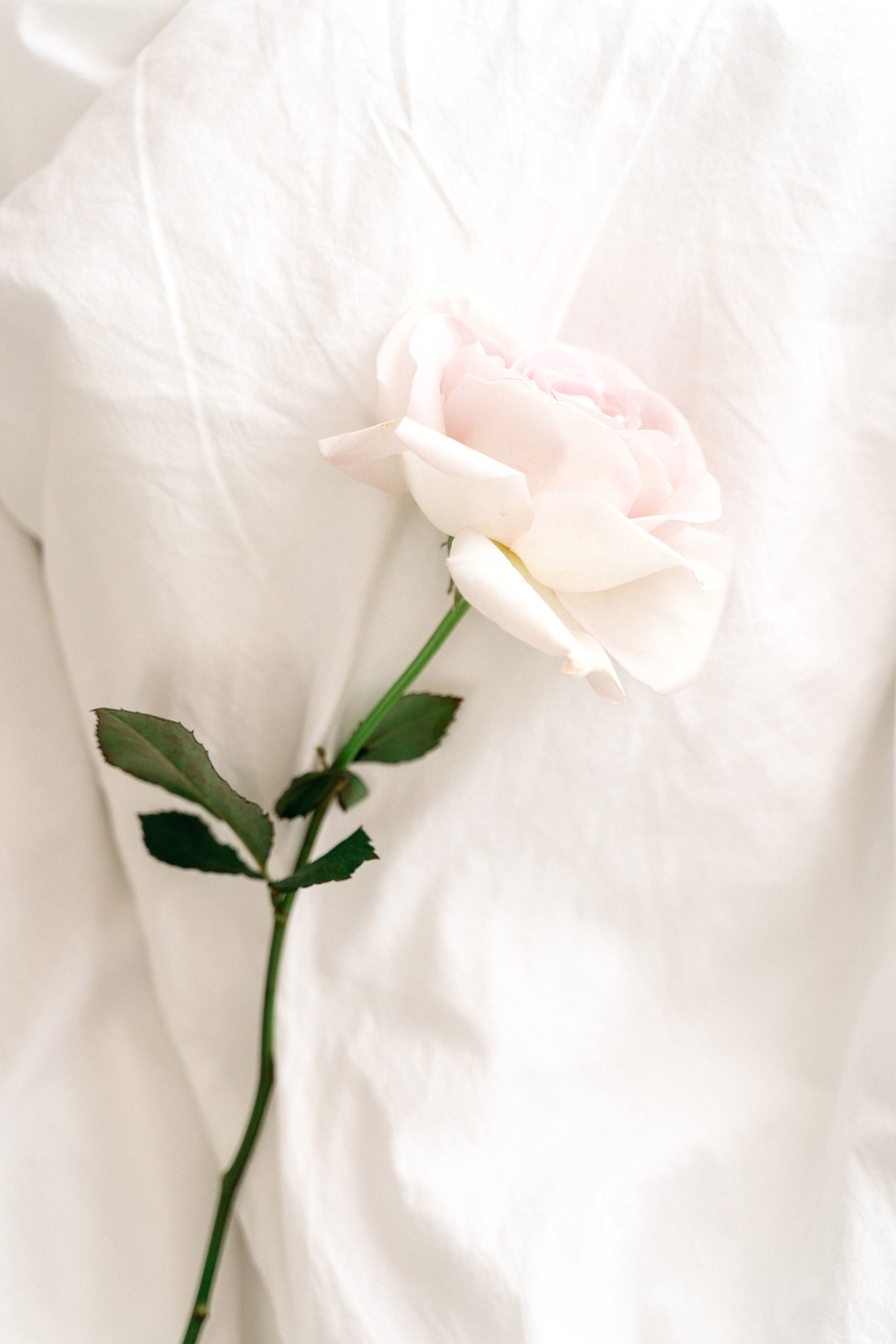 фотограф в бенидорме, аликанте, валенсии