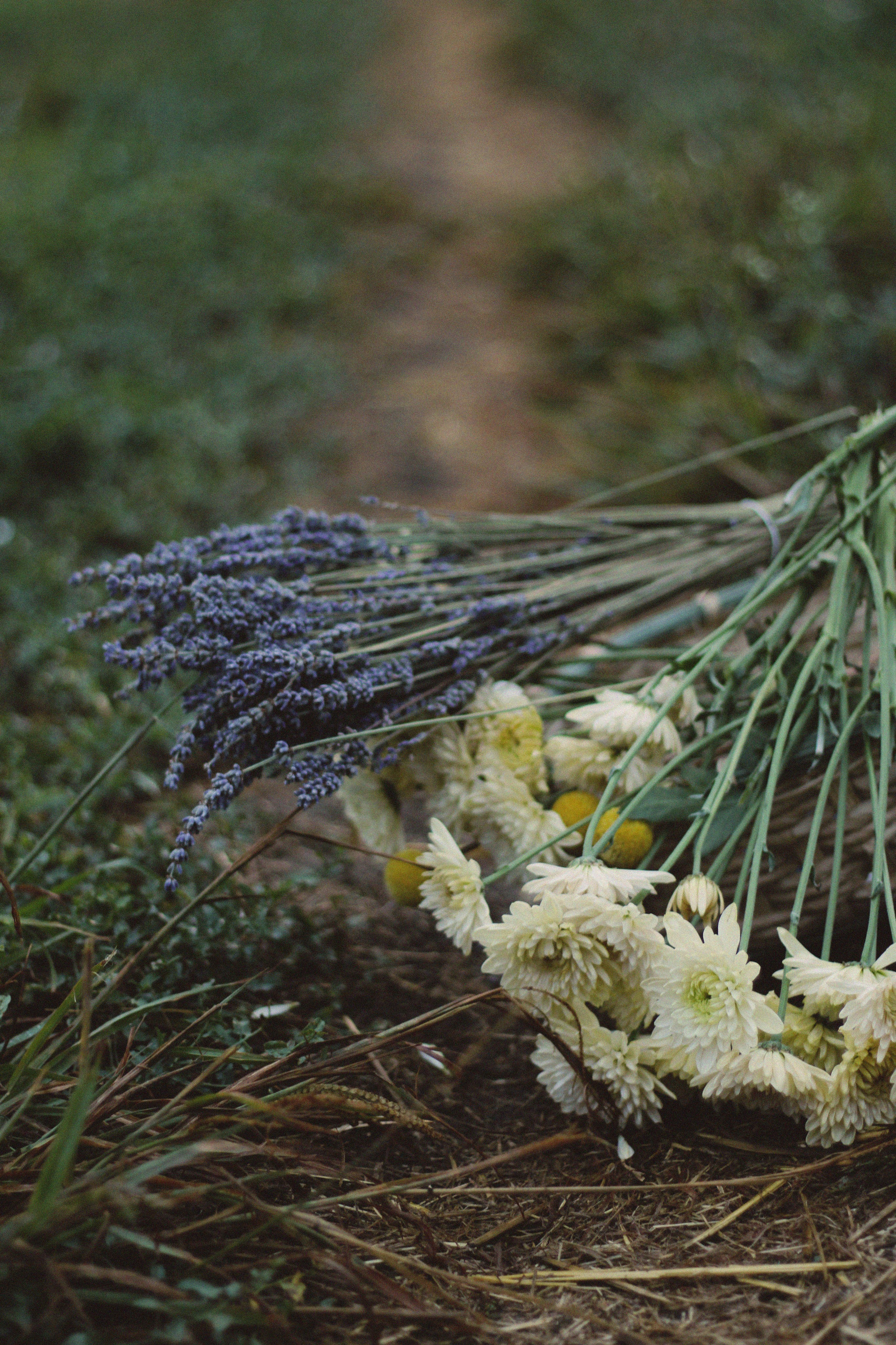 Countryside cowgirl-style portrait photoshoot. Lana Petrychenko — Portrait & Family Photographer. Valencia, Spain
