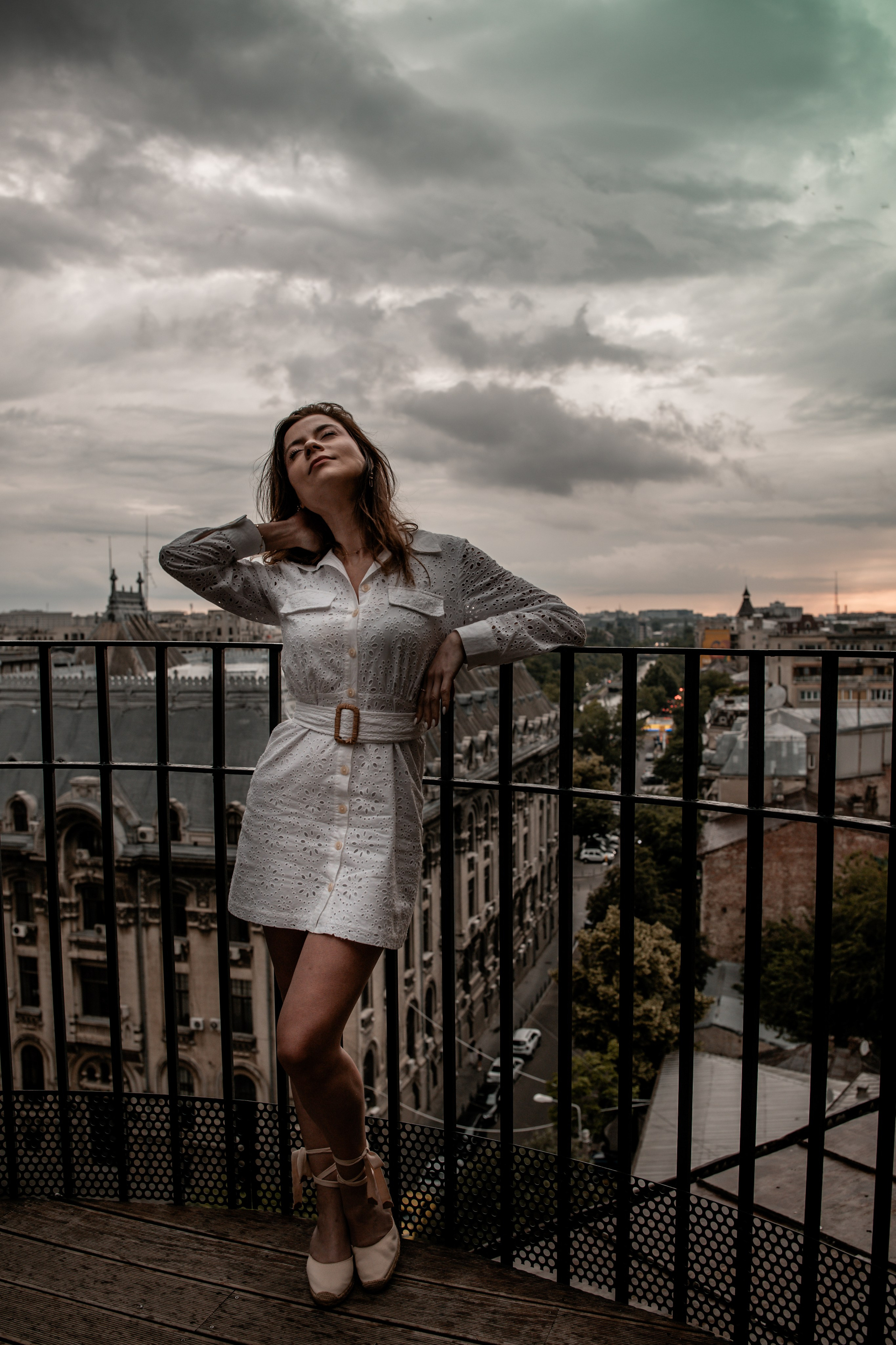 Elegance in the Clouds. Cadre de catifea