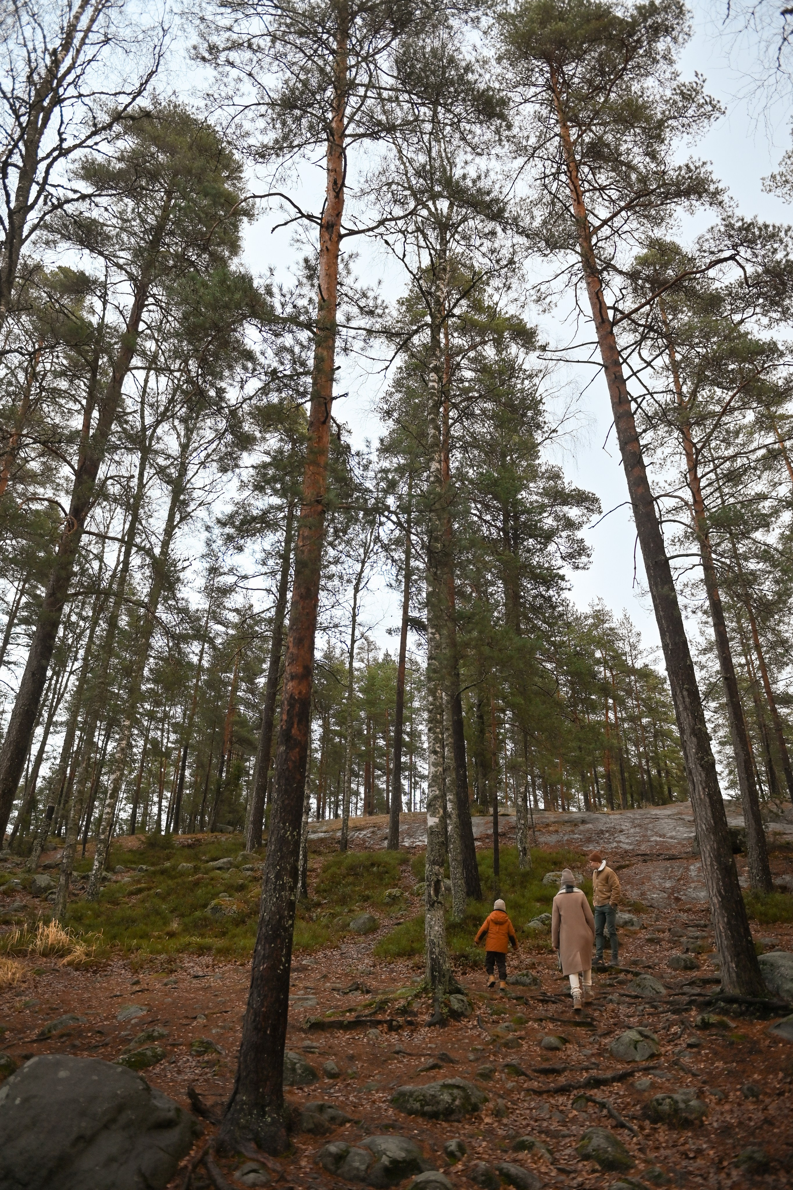 Пикник у озера. Детский и семейный фотограф в финляндии дина пулкка. контент фотограф