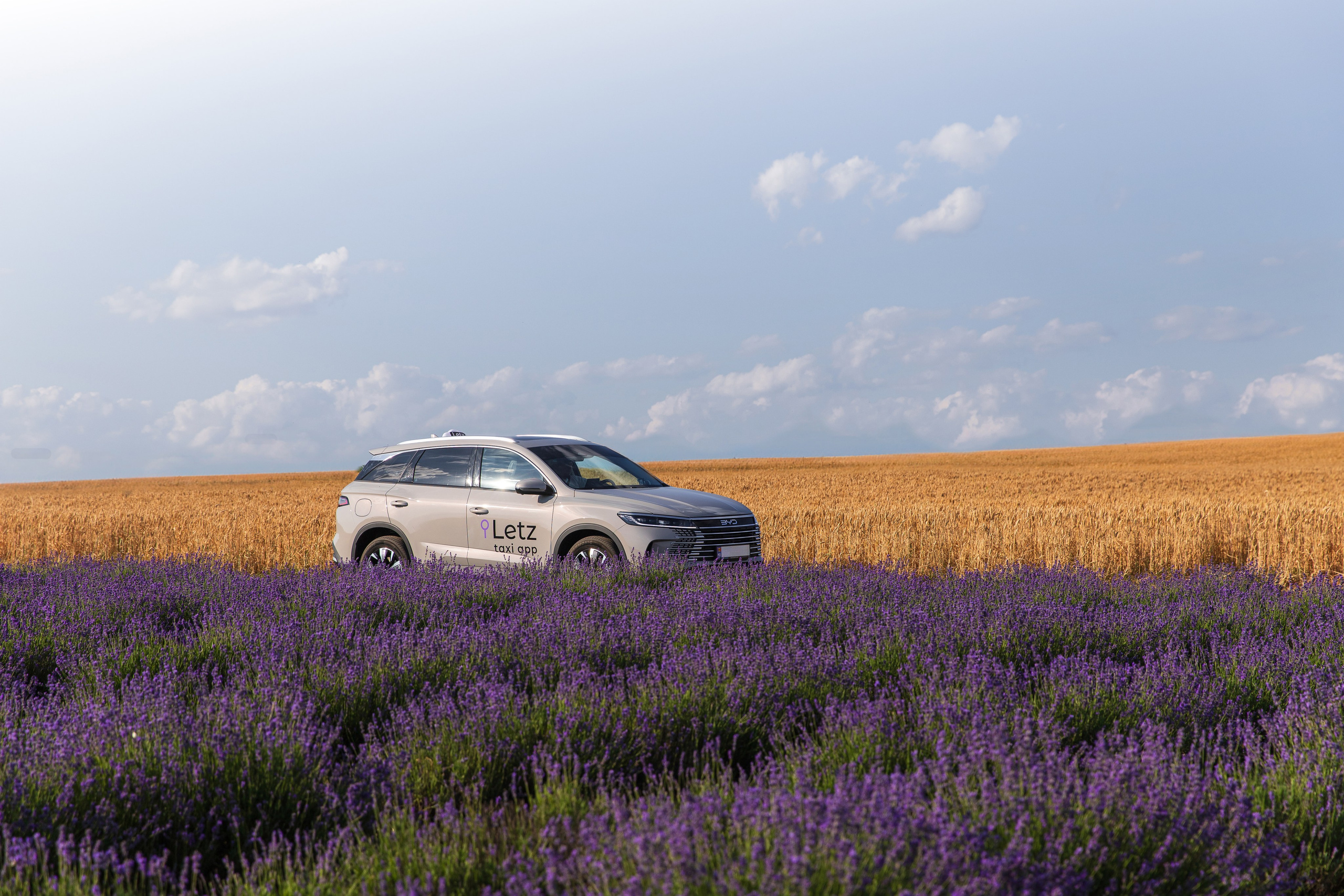 Taxi „Letz”. Fotograf și Videograf | Chișinău, Moldova