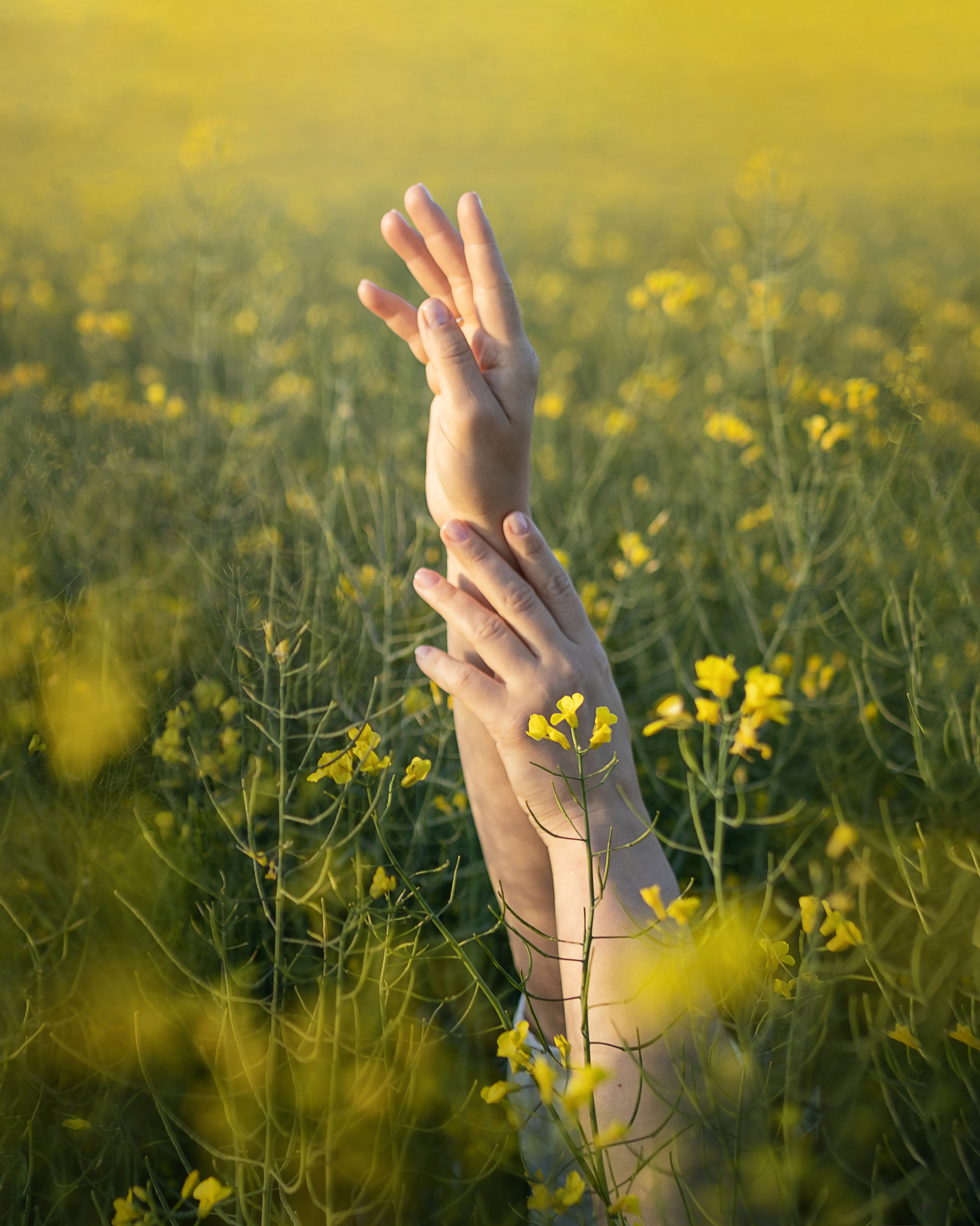 Fotoshooting im Rapsfeld