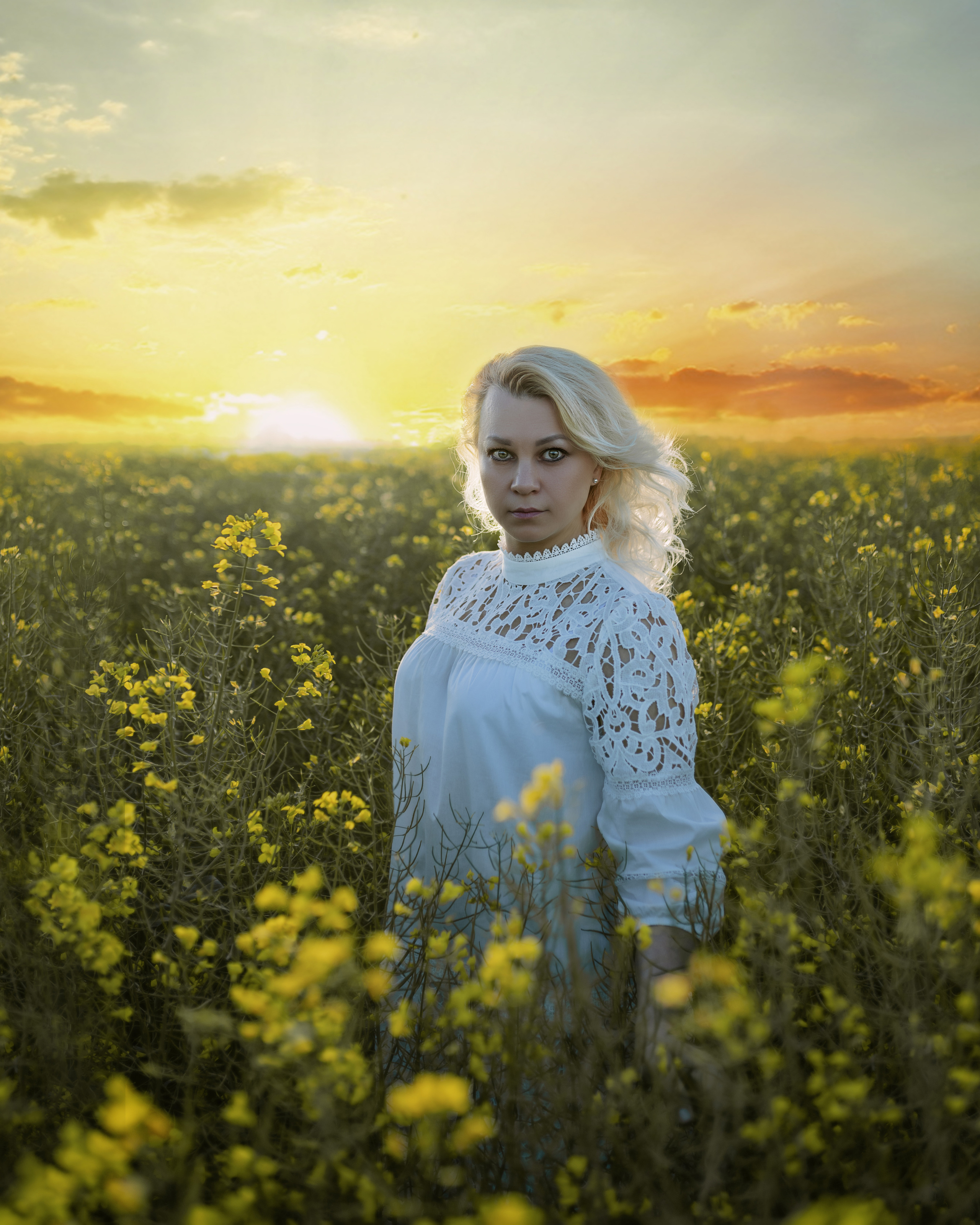 Fotoshooting im Rapsfeld