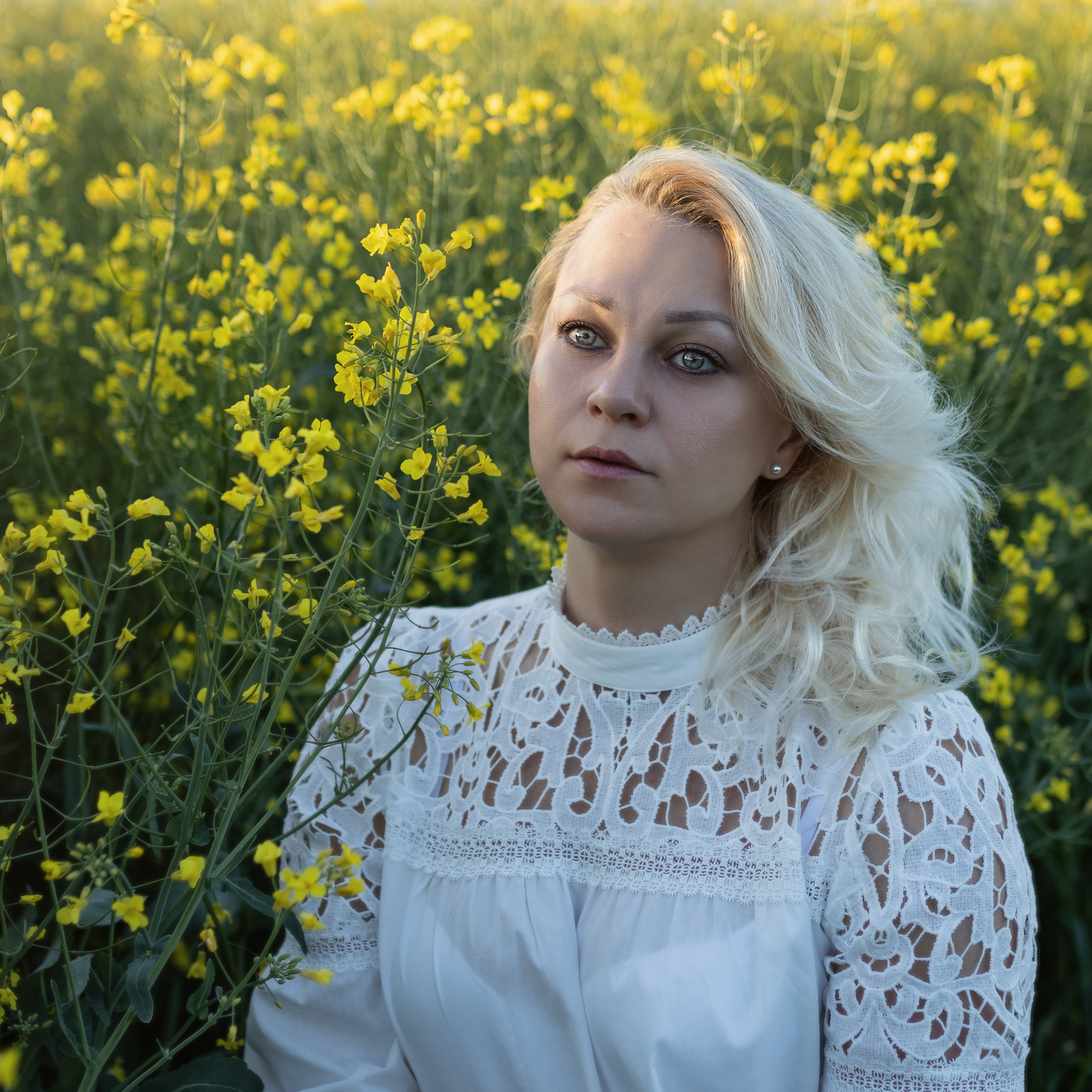 Fotoshooting im Rapsfeld