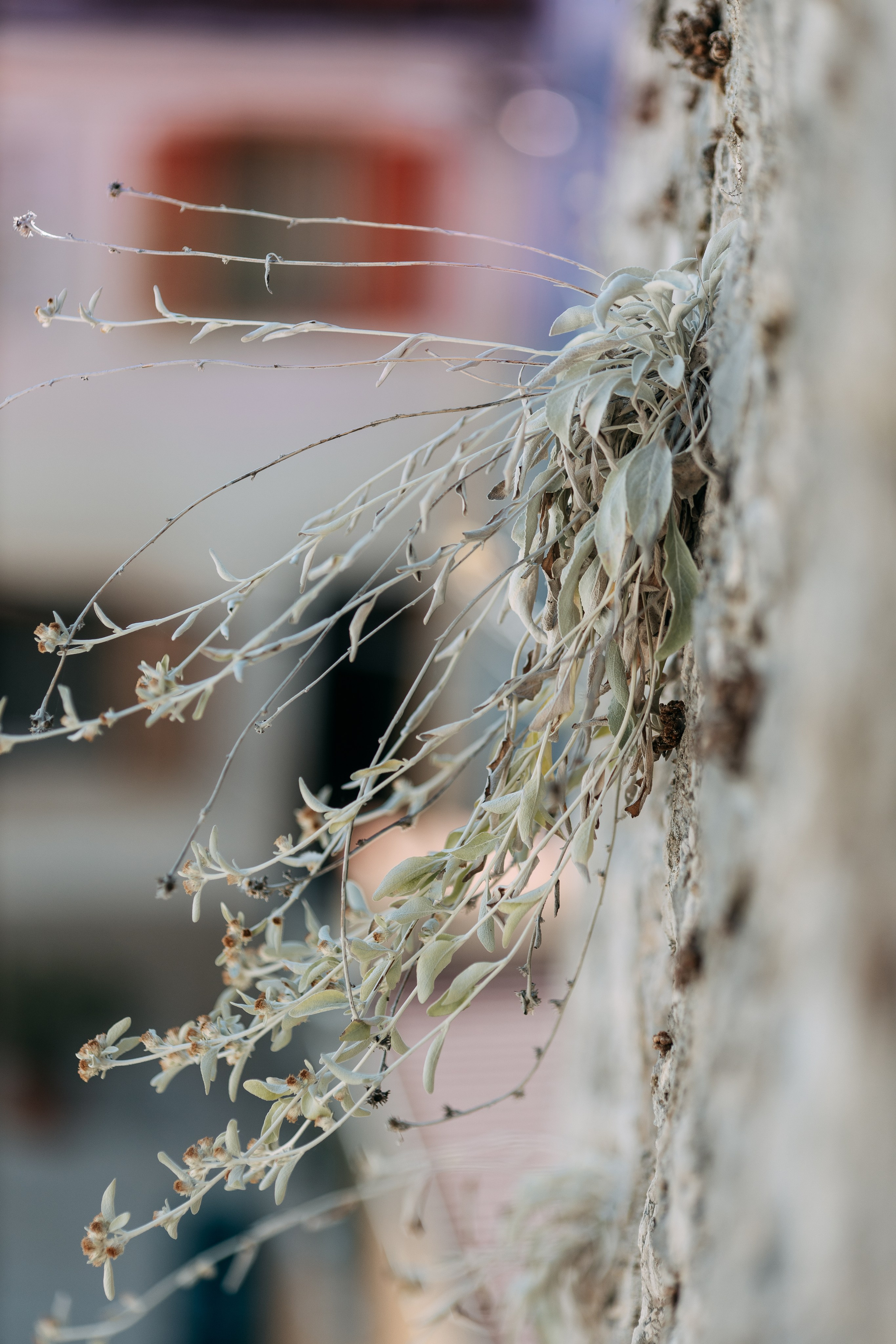 Love Kroatien. Professionele fotografin in Münsingen Olesia Wegele