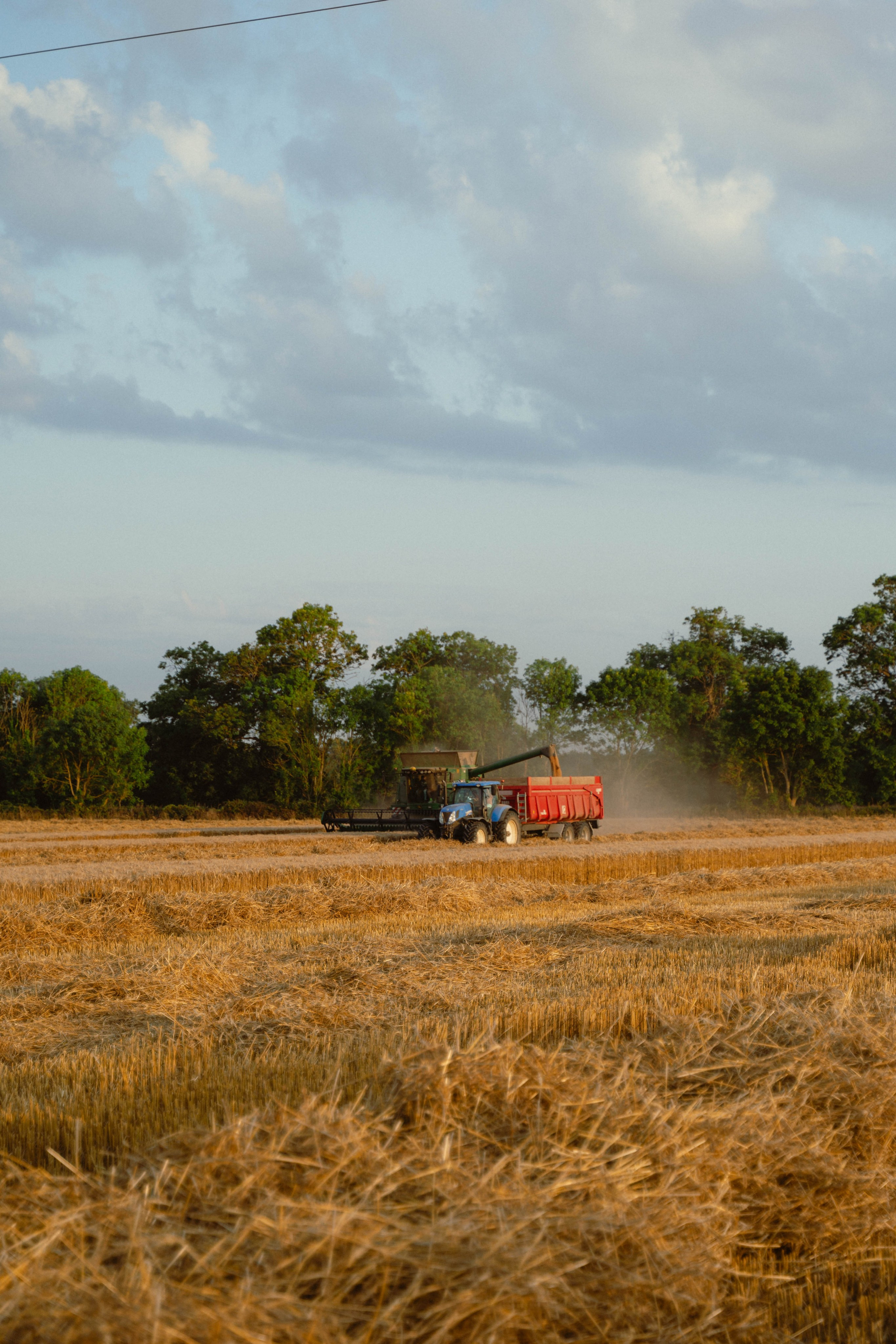 Entreprise agricole. Weeding photographer / event / portrait