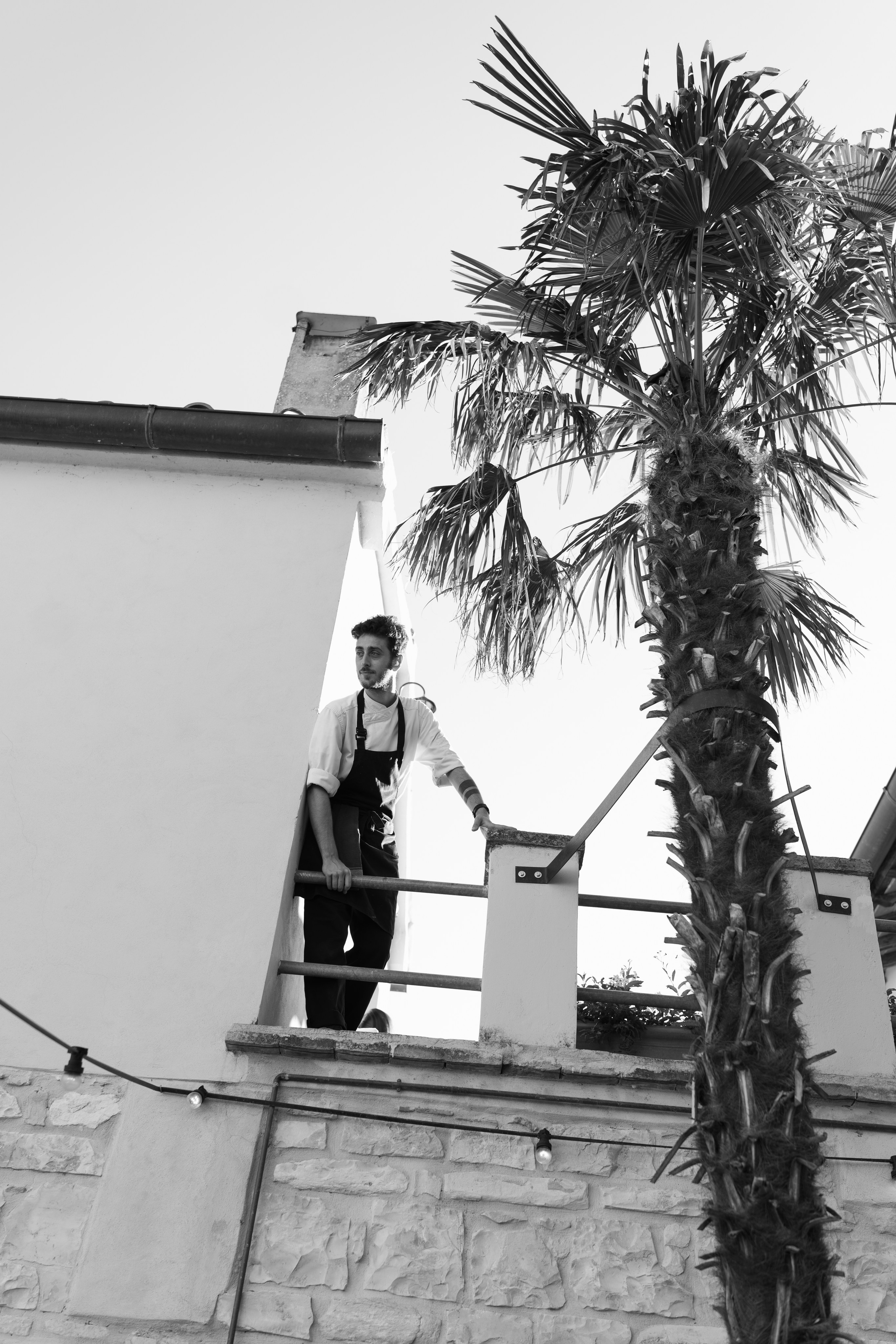 Sofia&Falk. Весільний фотограф Вікторія Саврук