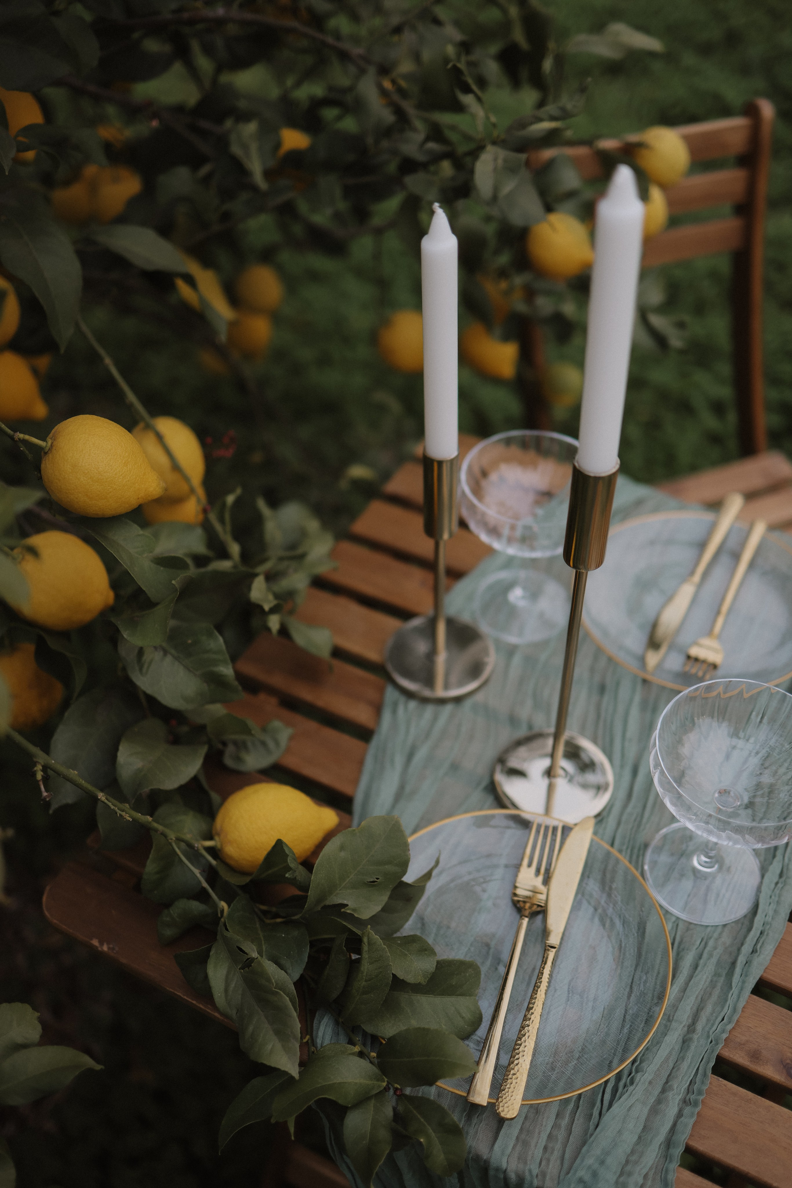 Пикник для двоих. Wedding & Event Planner