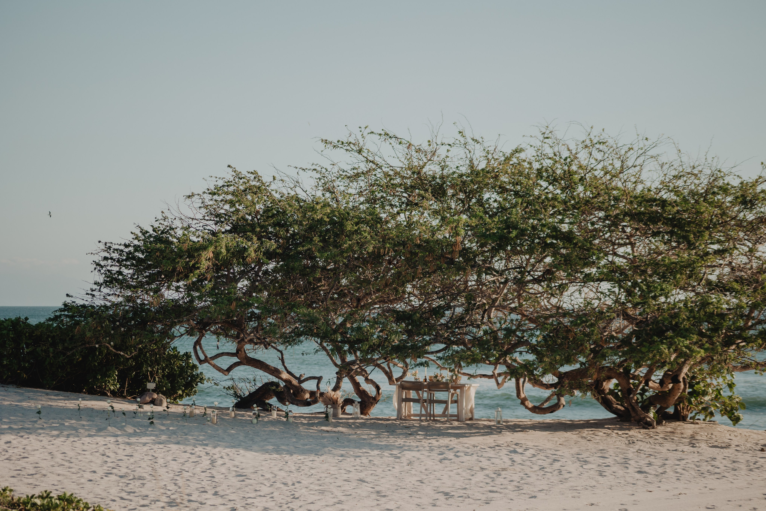Punta Mita Engagement Session: Love Framed by the Pacific