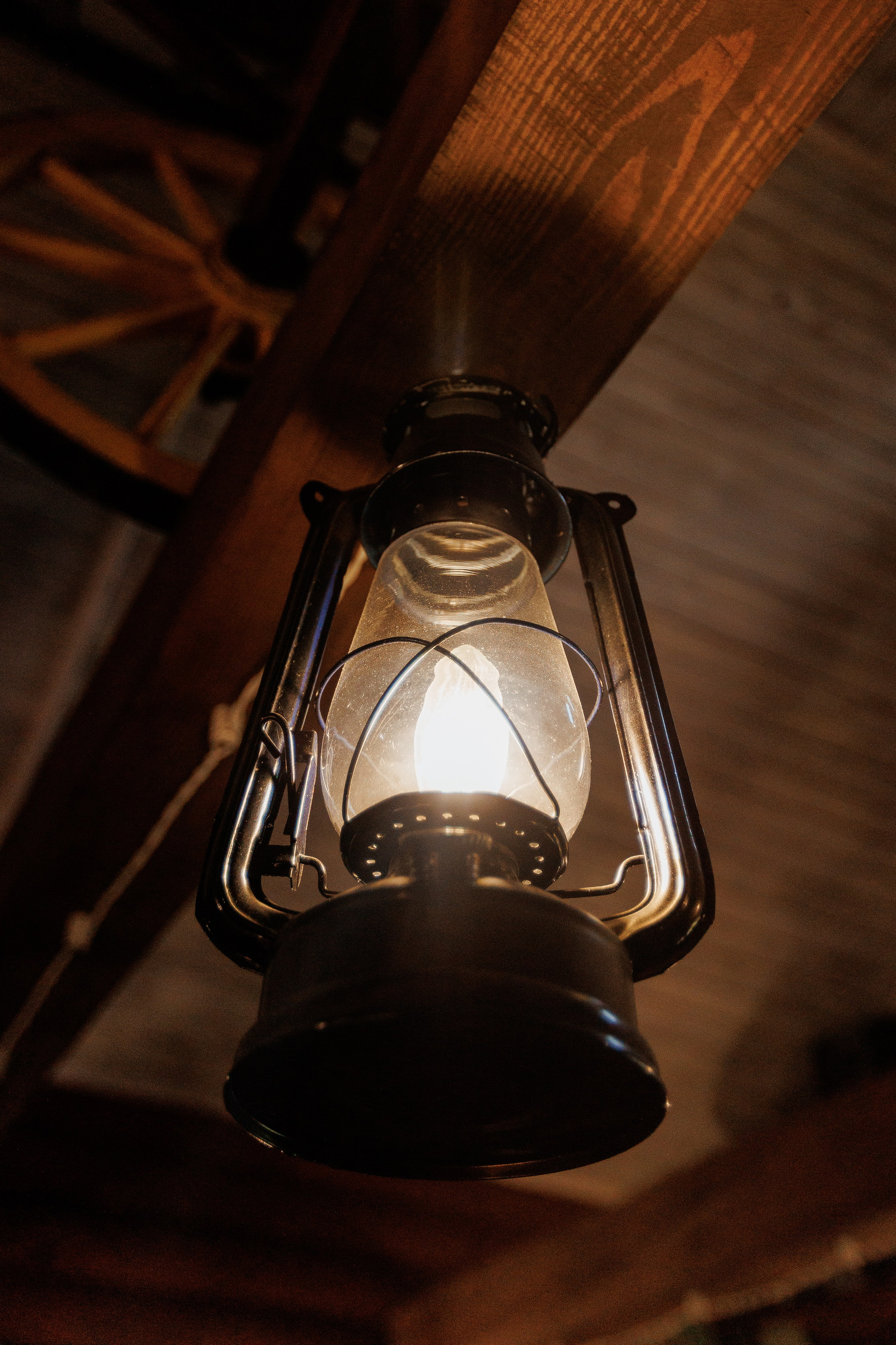 Екопарк Аміла. Ірина Терещук