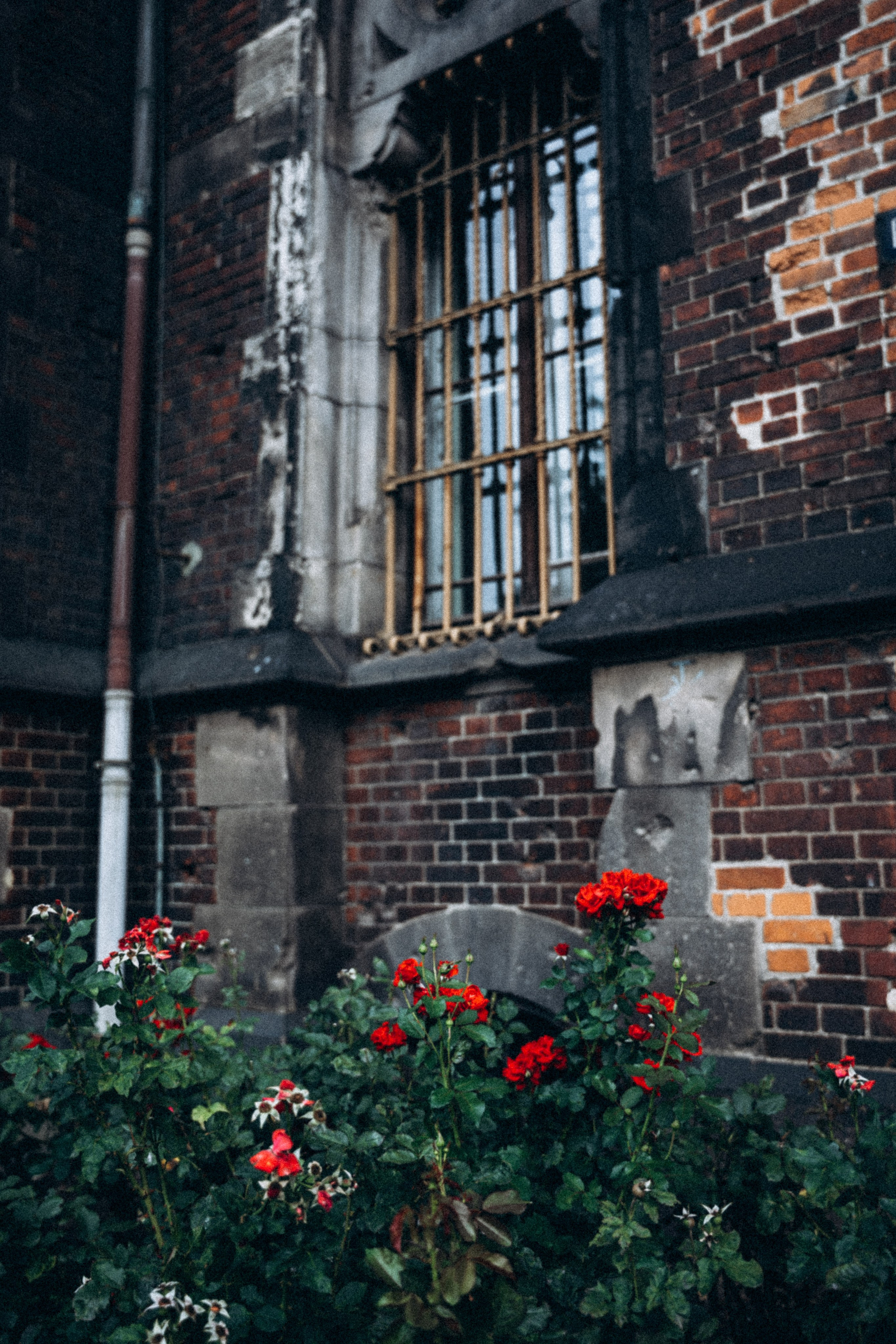 Вроцлав, Польша 🇵🇱. Anita_photo