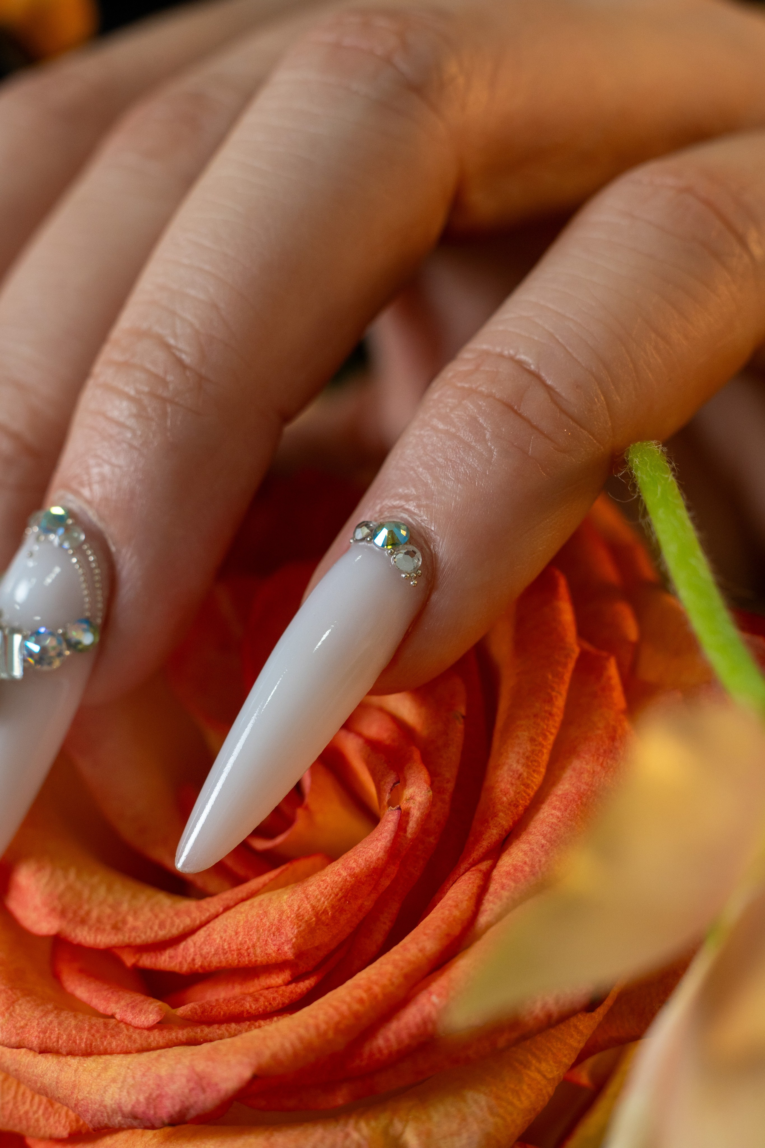 Nina Petrasco. Frames by Giovani Braga