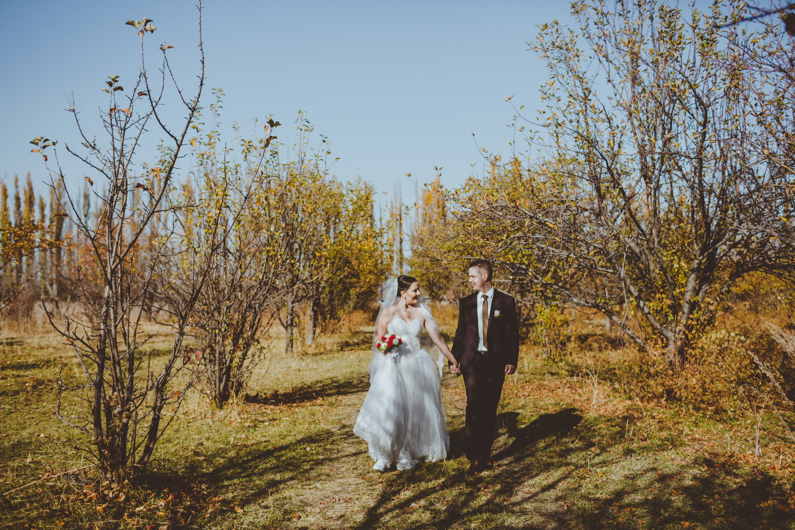 Свадебная фотосессия в яблоневом саду рядом с городом Бишкек. Фотограф в Бишкеке Оксана Шувалова