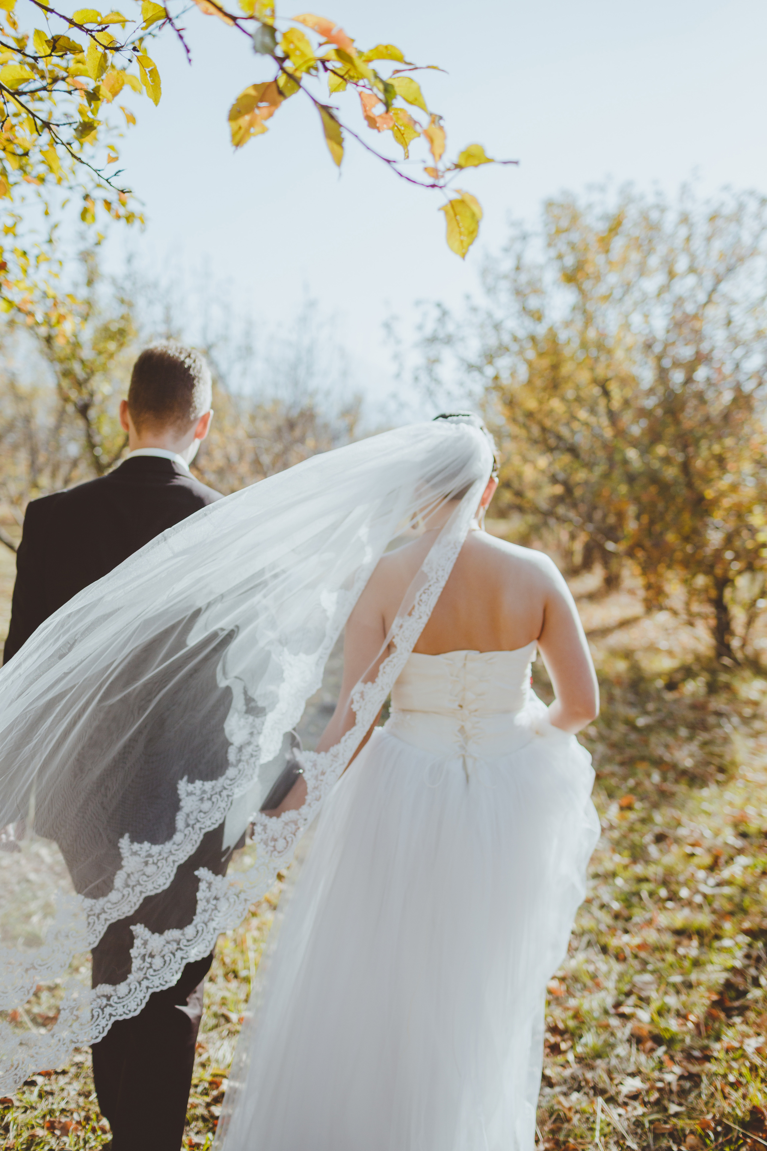 Свадебная фотосессия в яблоневом саду рядом с городом Бишкек. Фотограф в Бишкеке Оксана Шувалова