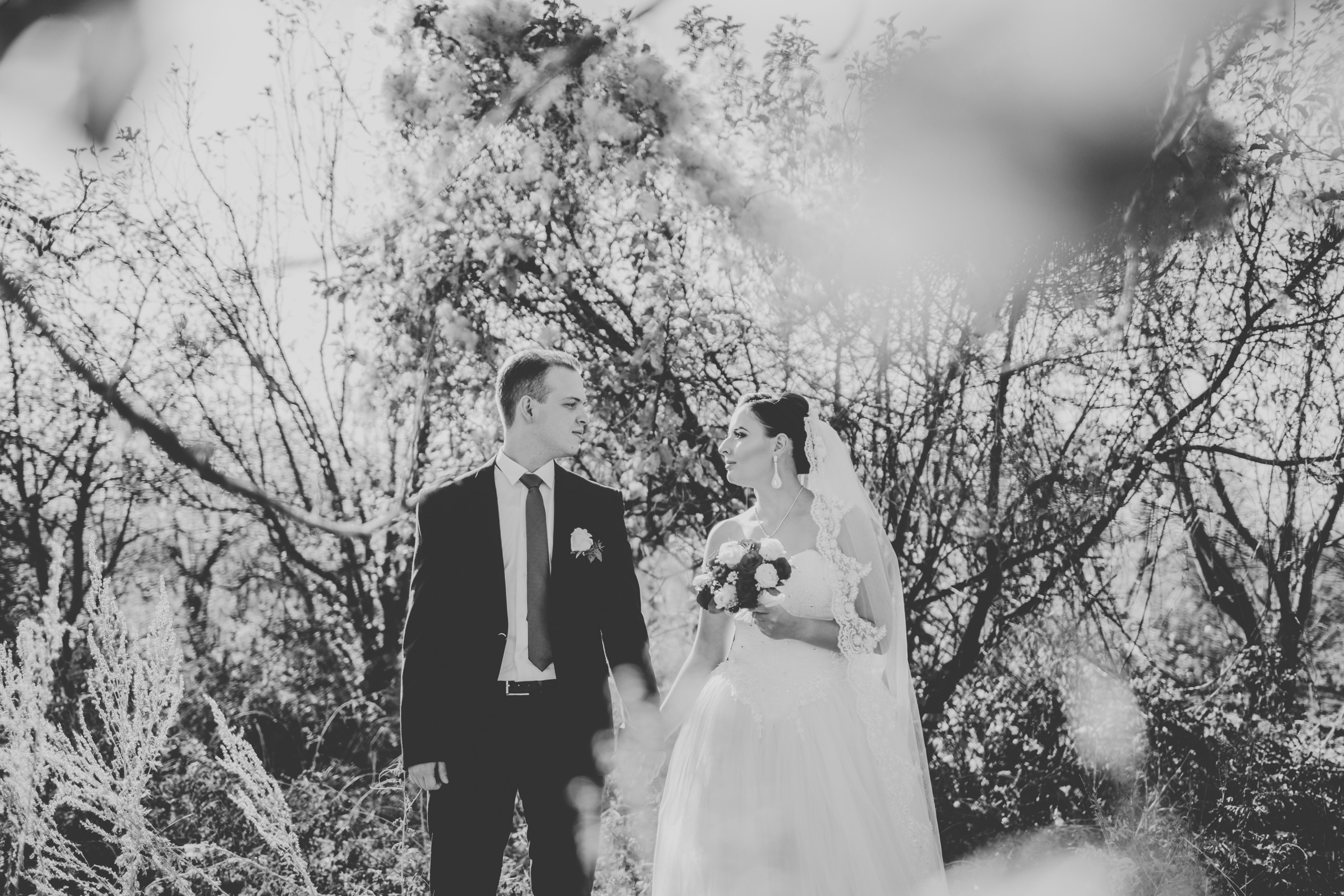 Свадебная фотосессия в яблоневом саду рядом с городом Бишкек. Фотограф в Бишкеке Оксана Шувалова