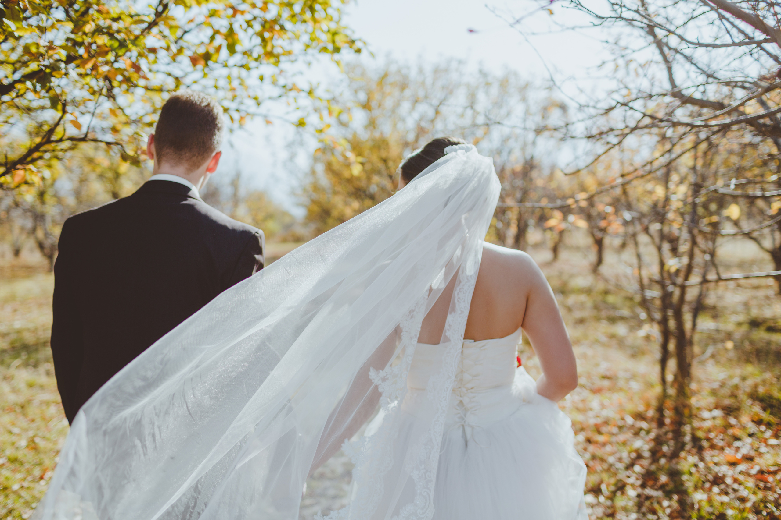 Свадебная фотосессия в яблоневом саду рядом с городом Бишкек. Фотограф в Бишкеке Оксана Шувалова