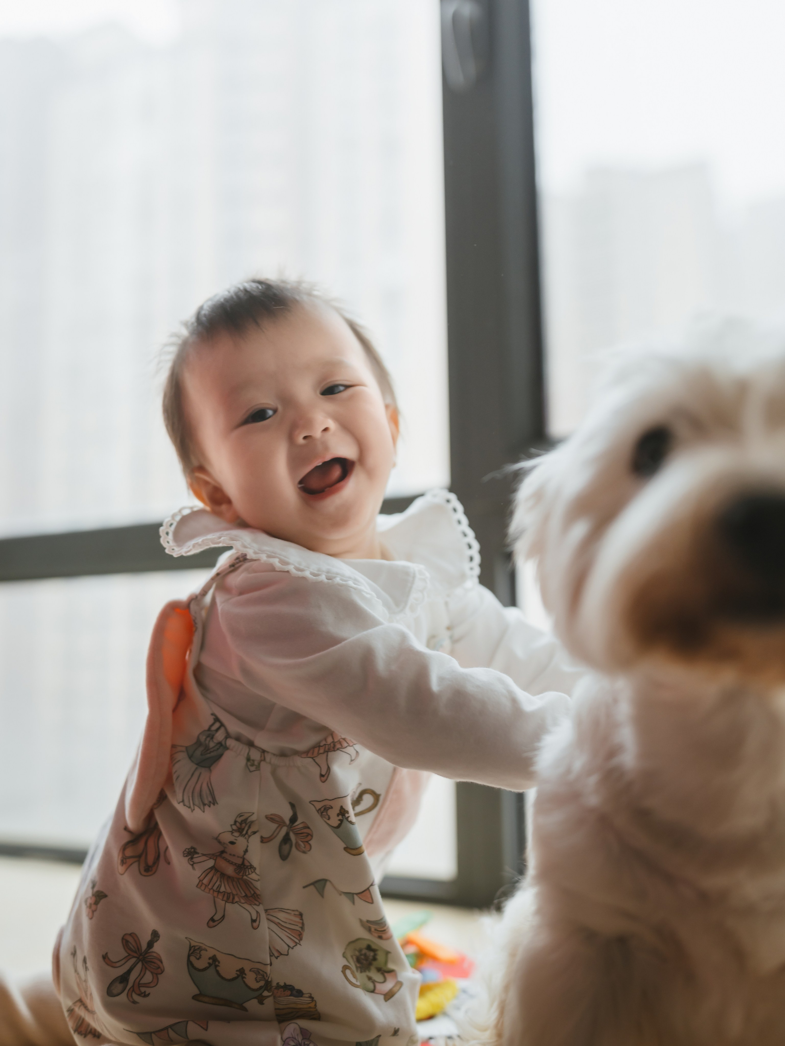Photos of pets. Shanghai Family Photographer Dora