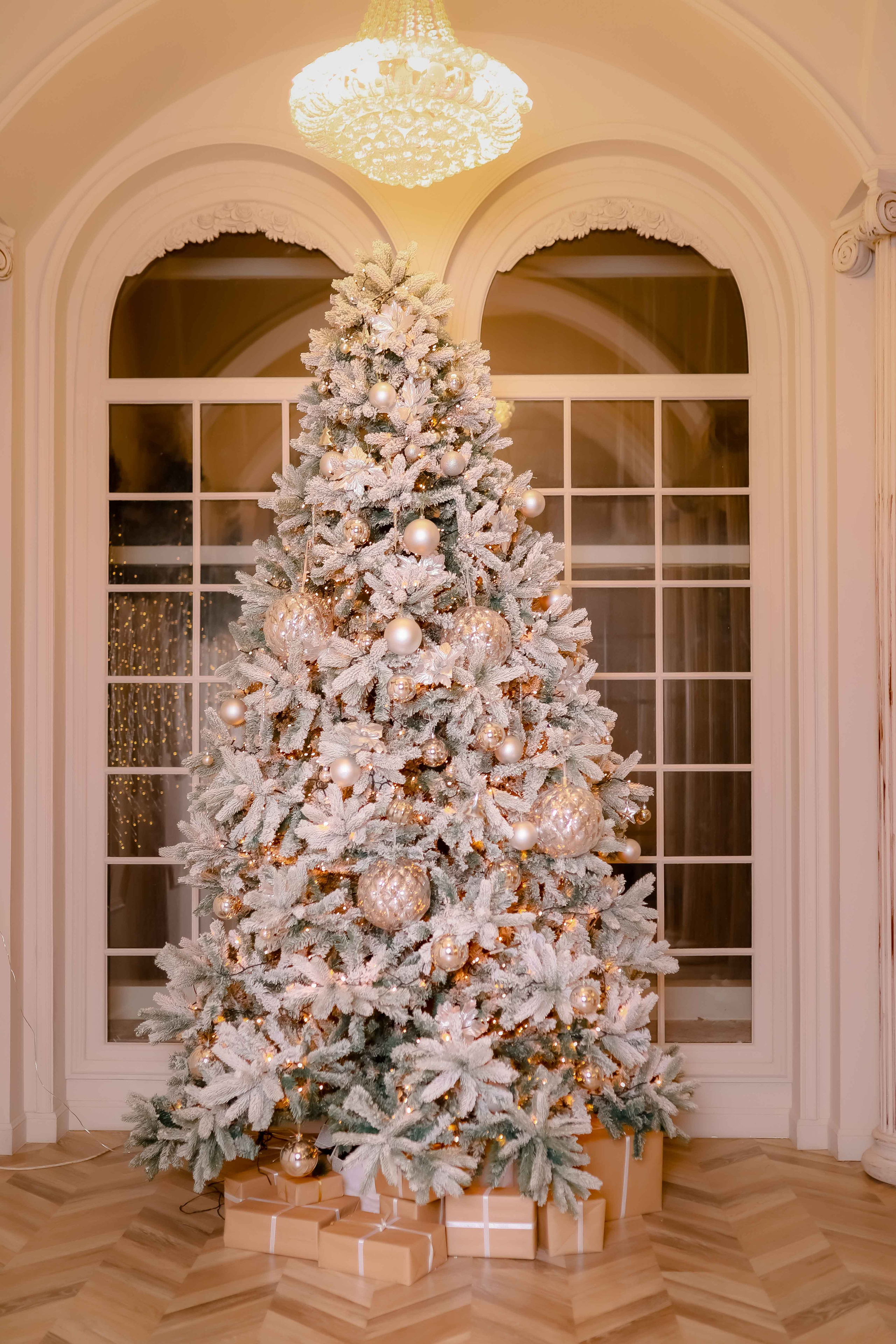 Petru & Doina. Photographer in Dublin, Pavel