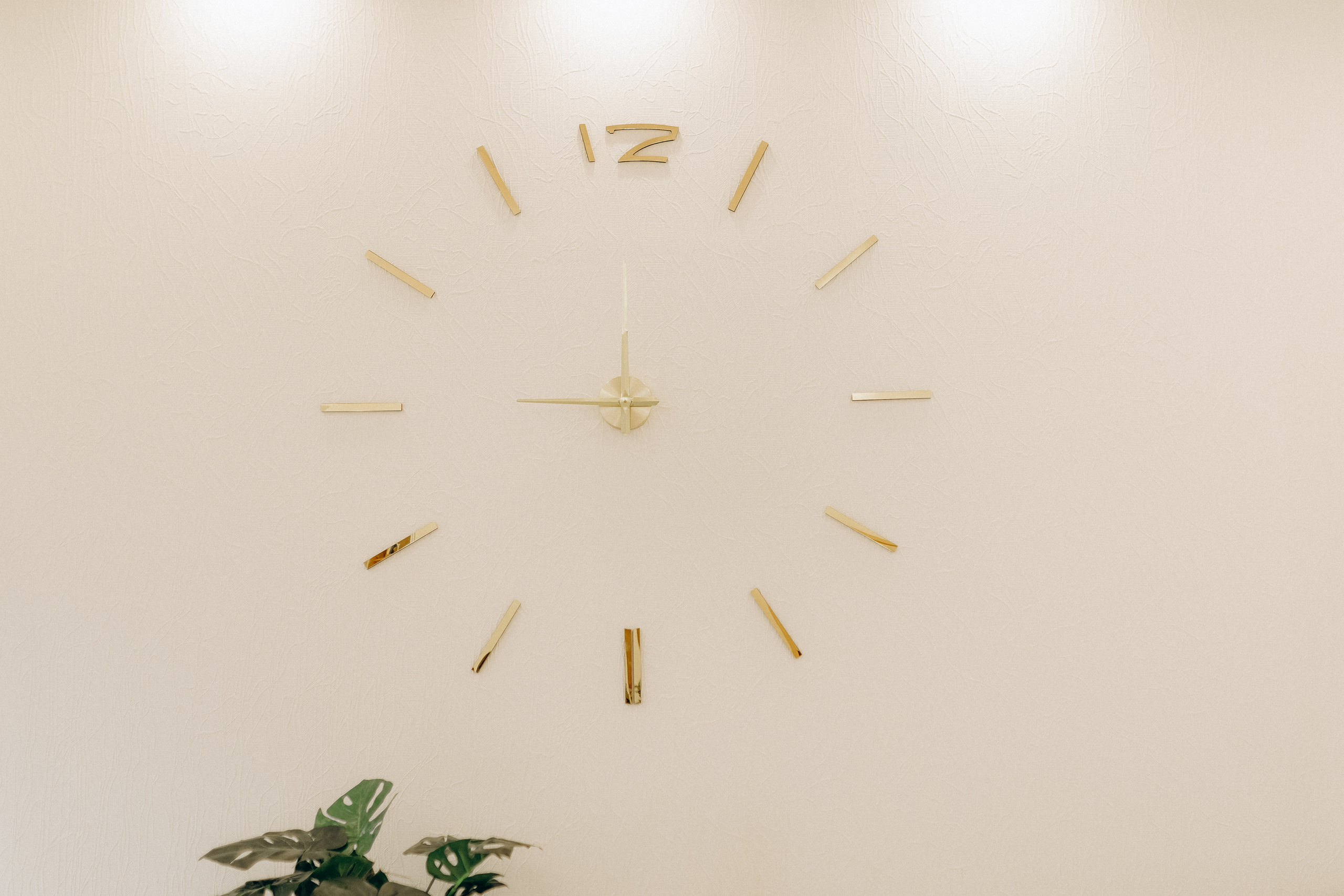 Grigore & Patricia. Photographer in Dublin, Pavel