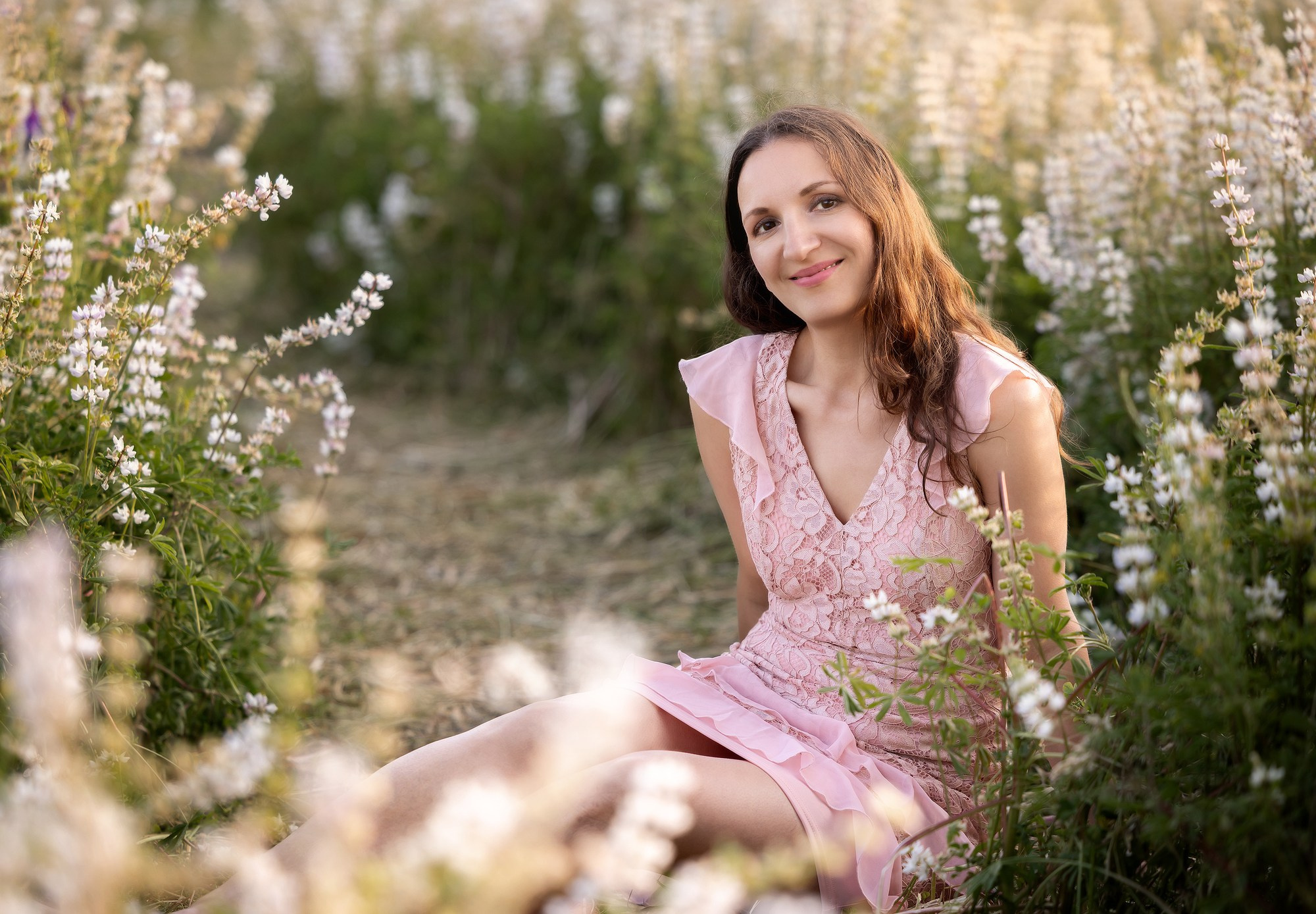 Lupines Story. Photographer is San Jose, Iryna Novosyolova