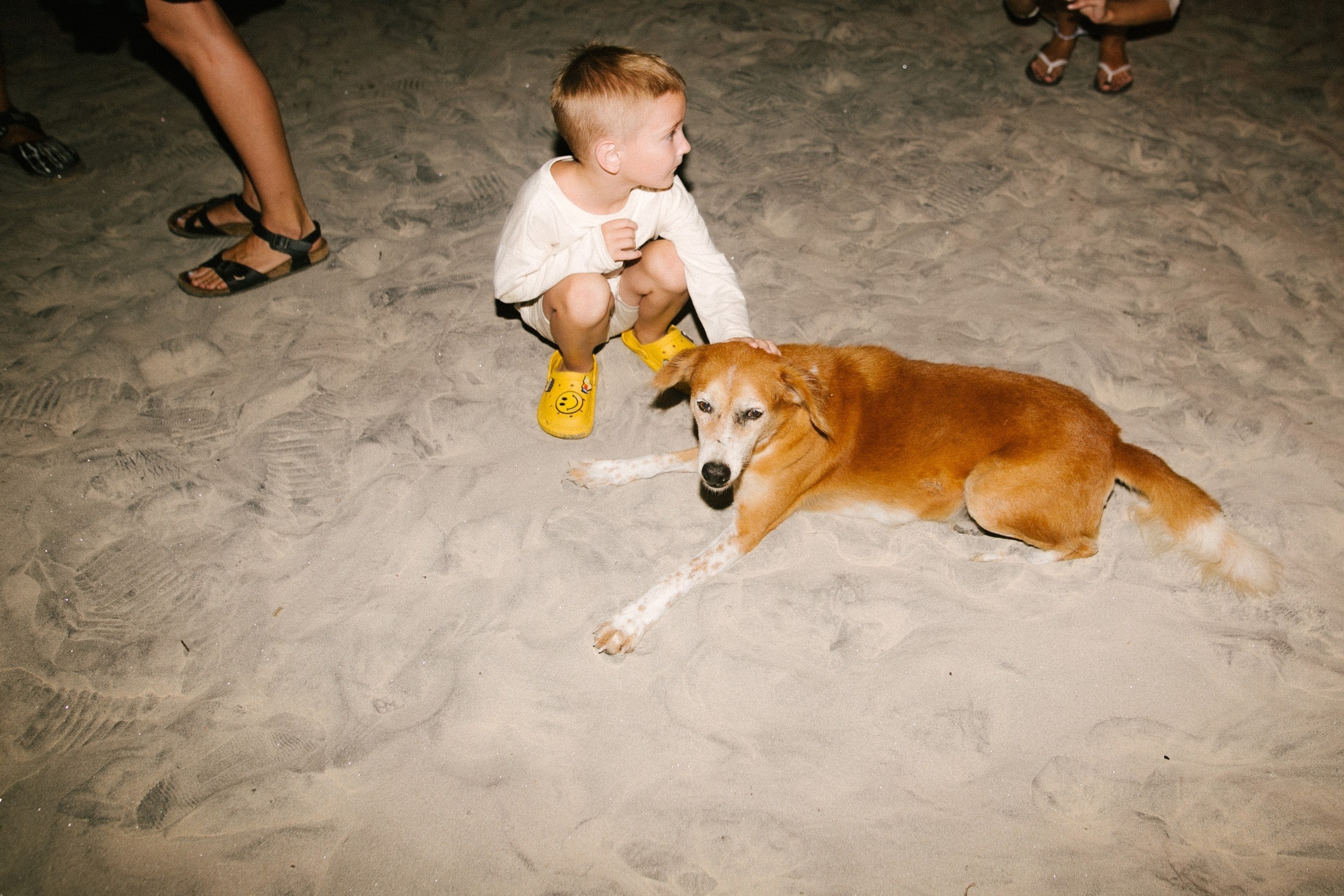 Good Story X PowerHouse. Alex&Polly | Wedding & Family Photographer Tbilisi