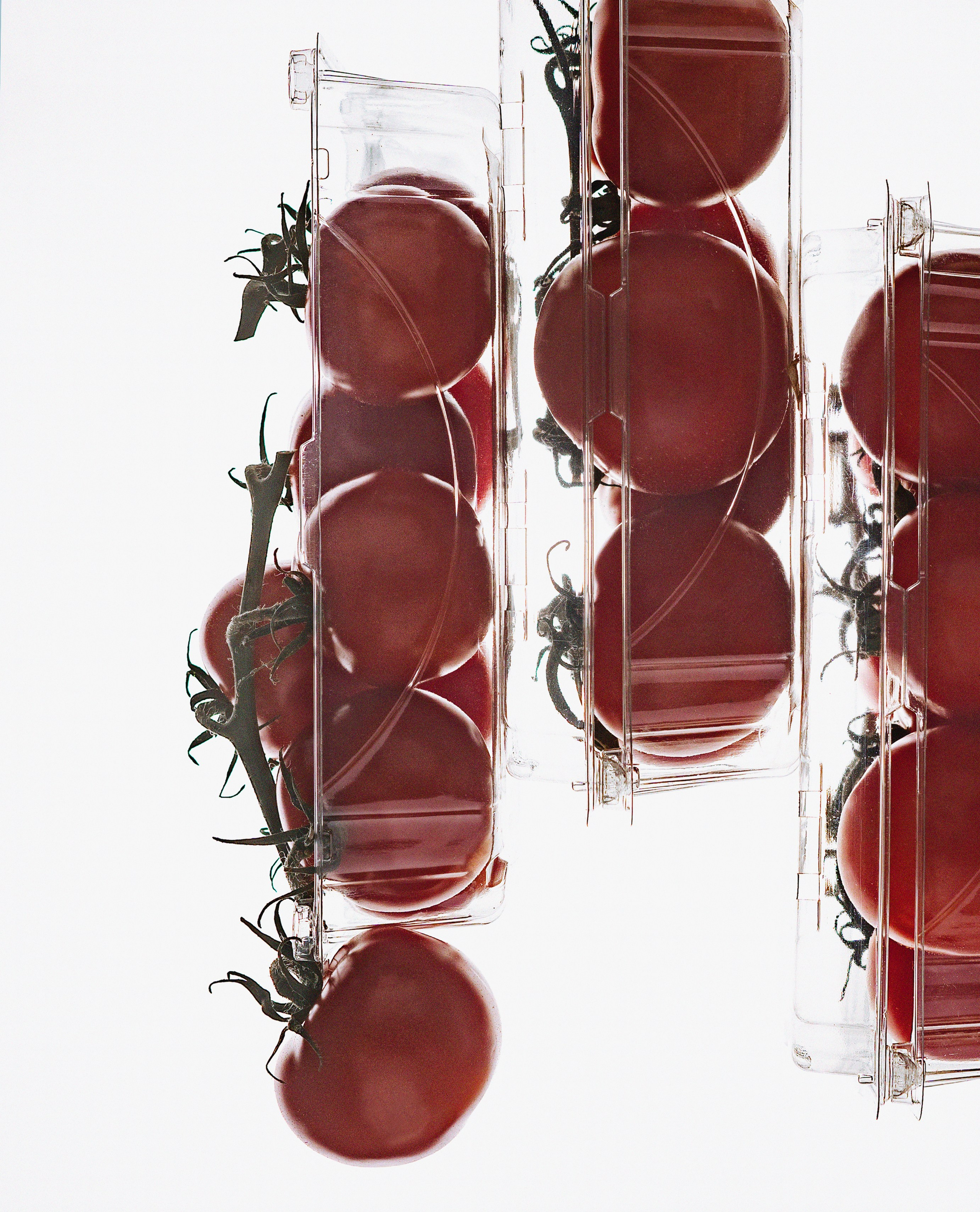 Commercial Food Photography – USA Menu & Advertising. LILIIA ZABOTKINA food photographer California