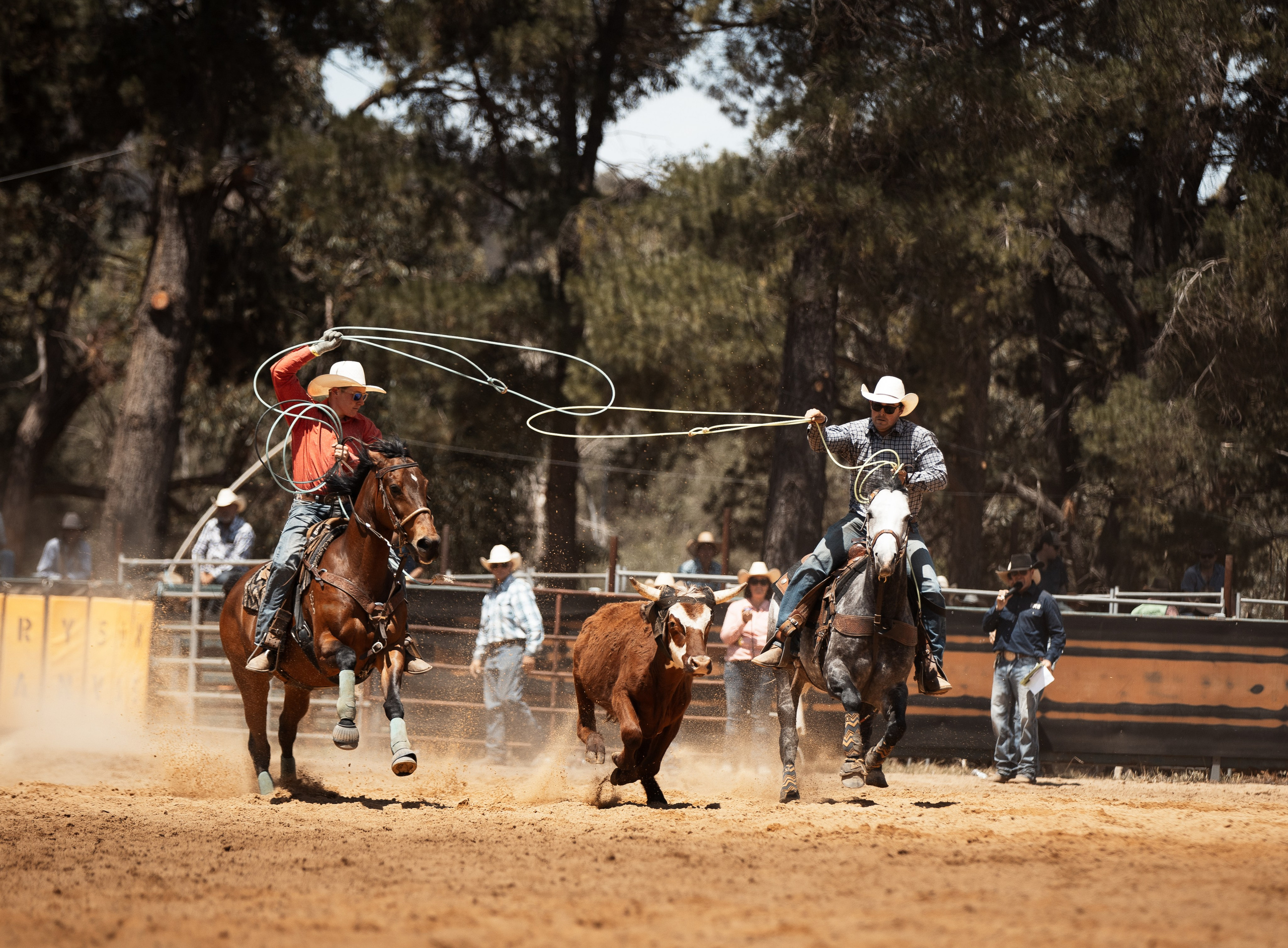 Selection of photos from different rodeos