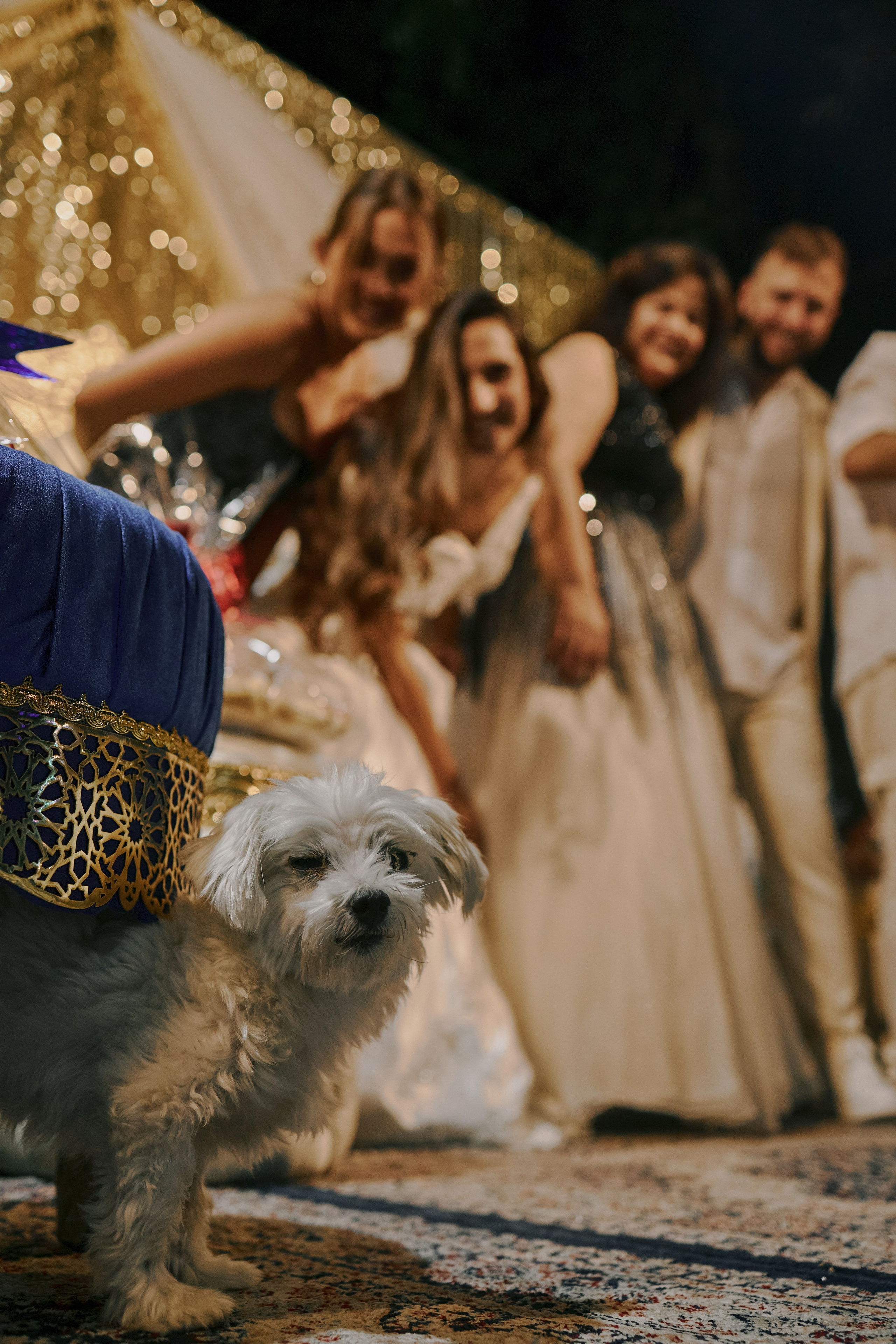 Events. Sergey Kalinkin Photography