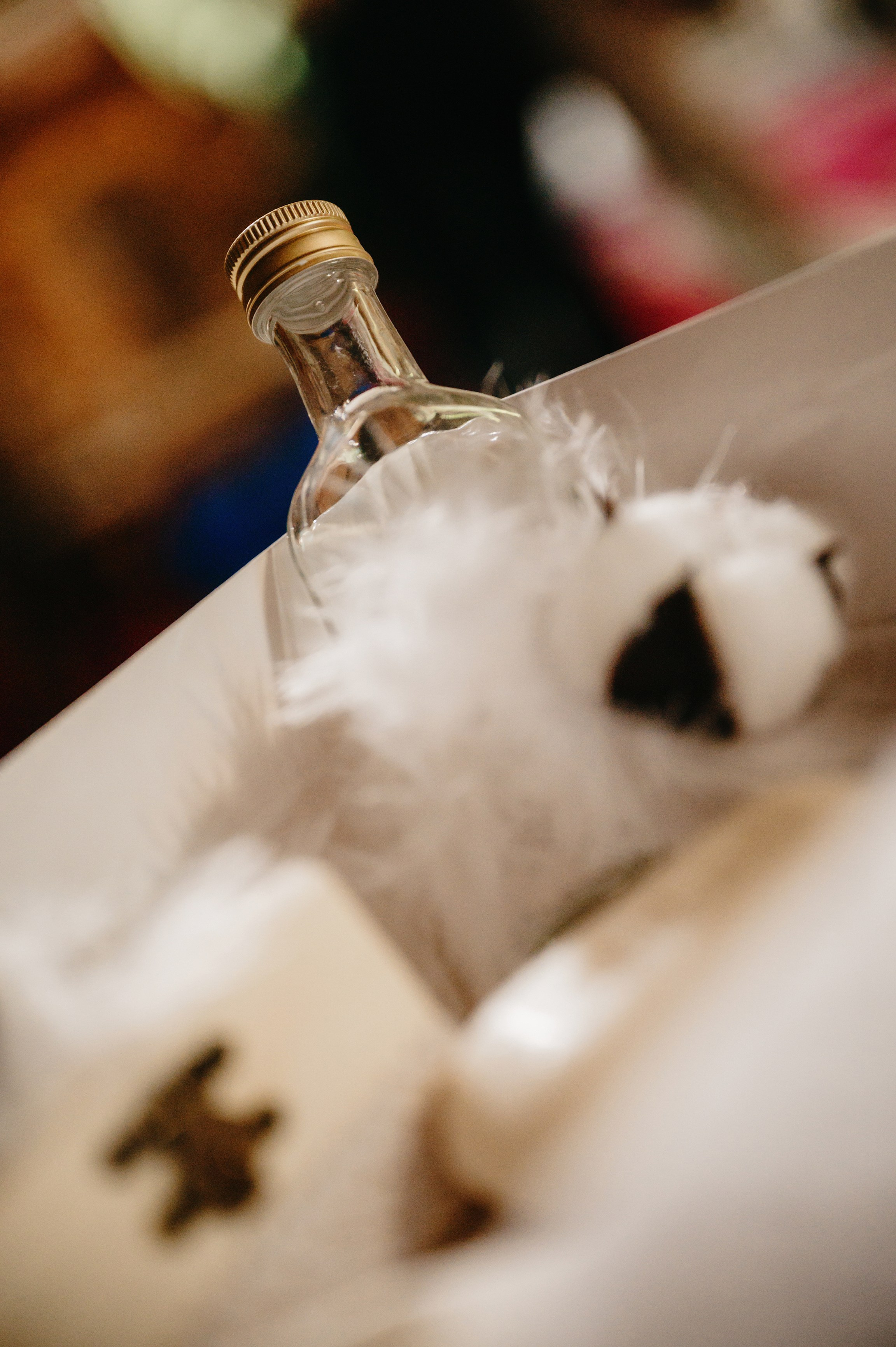 BOTEZ Ana Natasha. Laurentiu Stefan StoryTeller