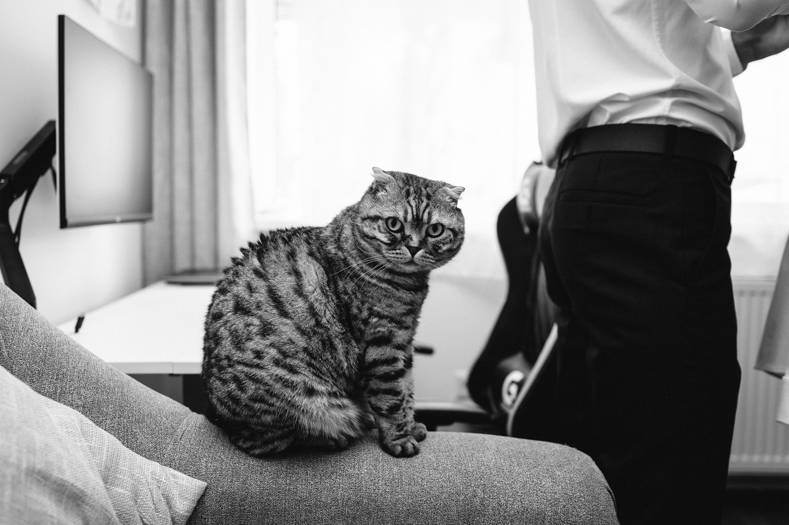 Adina și Ciprian. Valentin Melen — wedding photographer