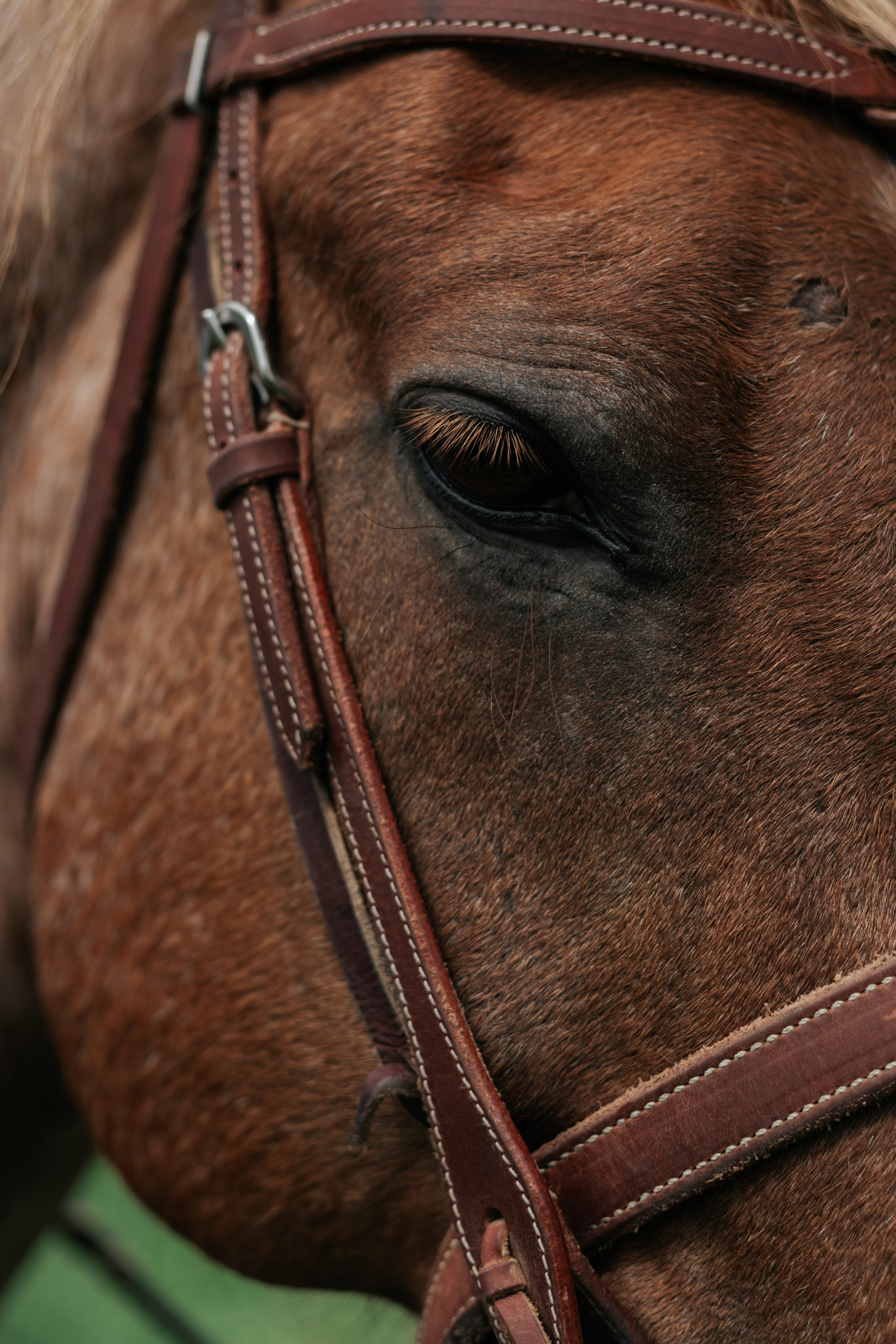 Western. Photography Vanessa Brits
