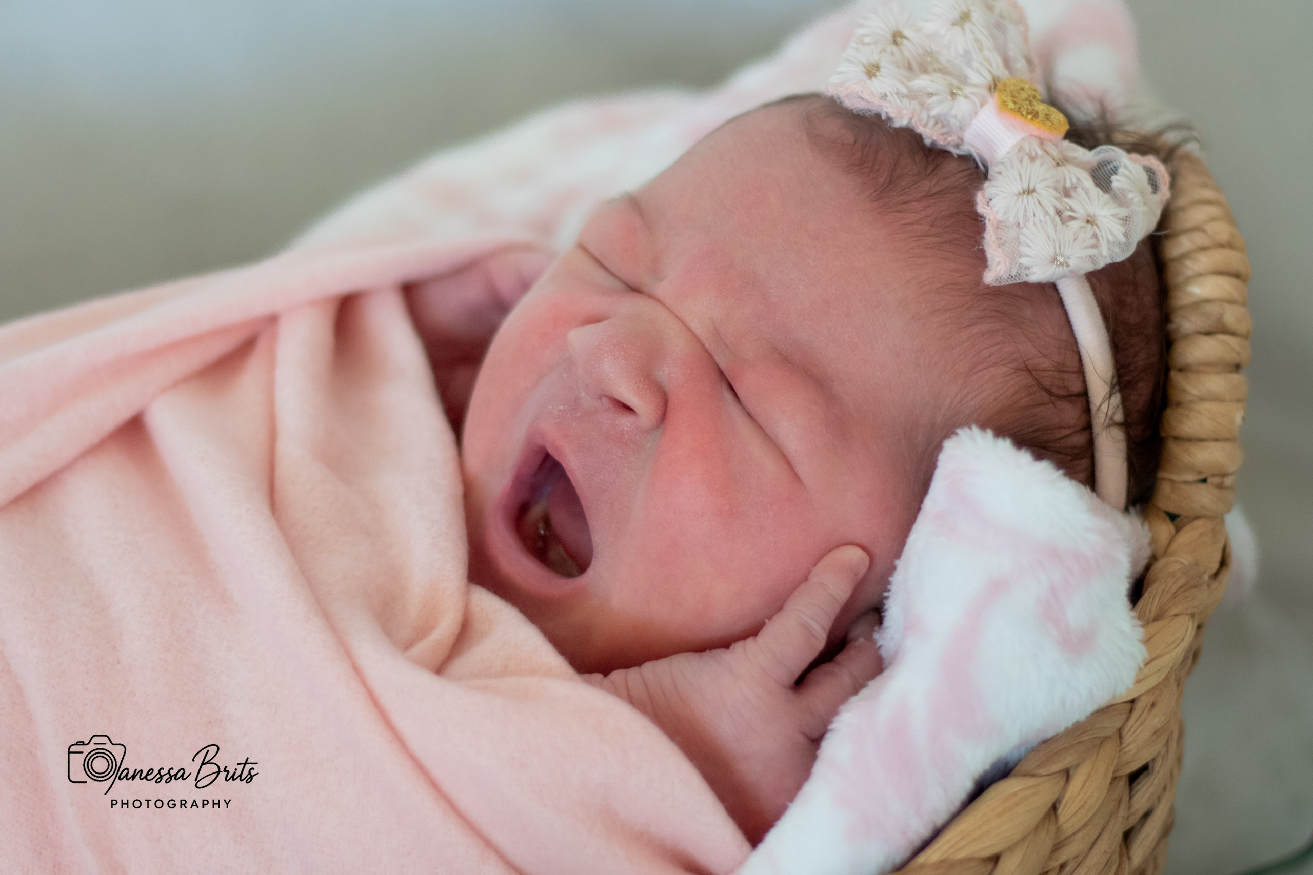 Newborn. Photography Vanessa Brits