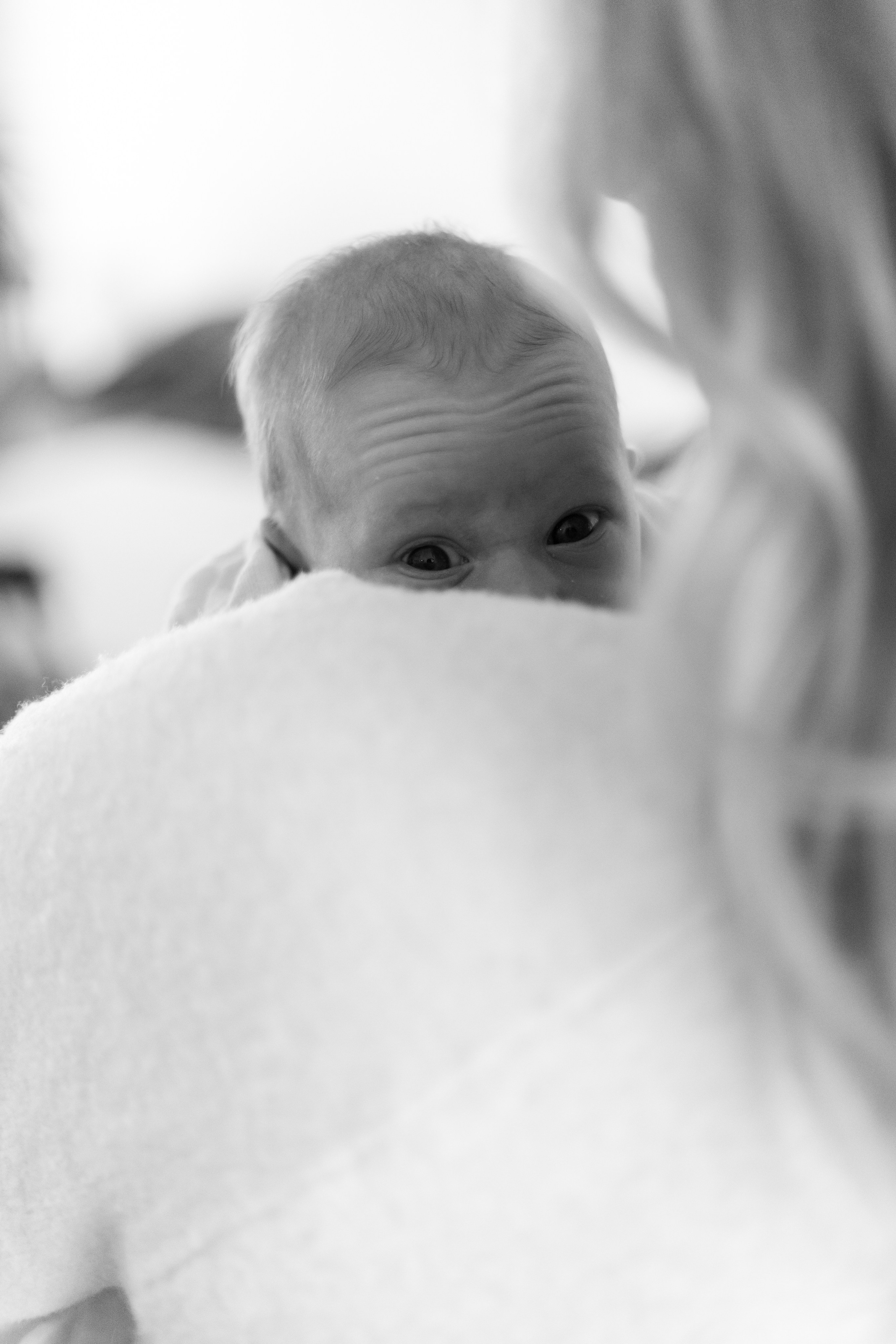 Newborn. Photography Vanessa Brits
