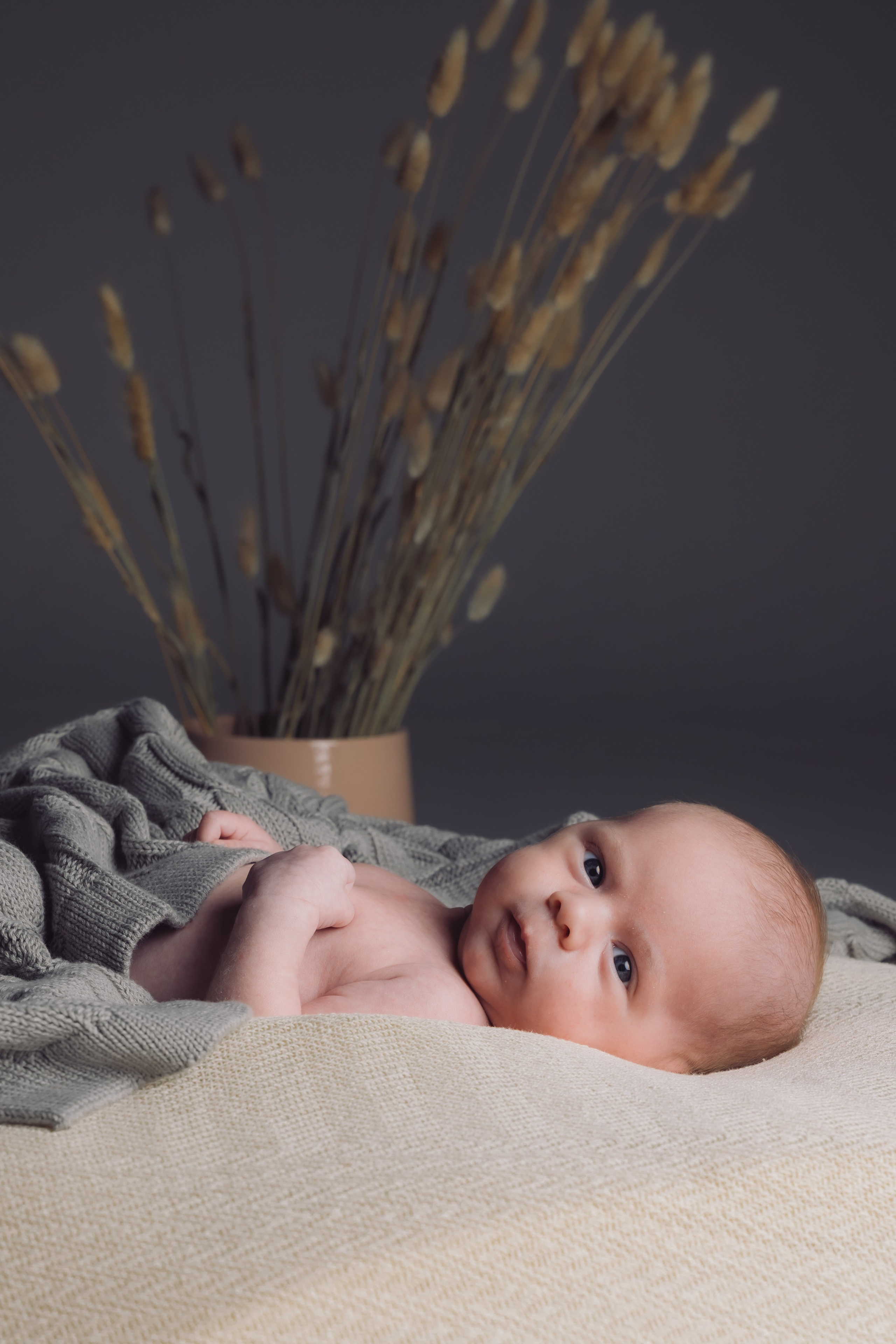 Barn- og familiefotografering. Familiefotograf i Narvik kommune