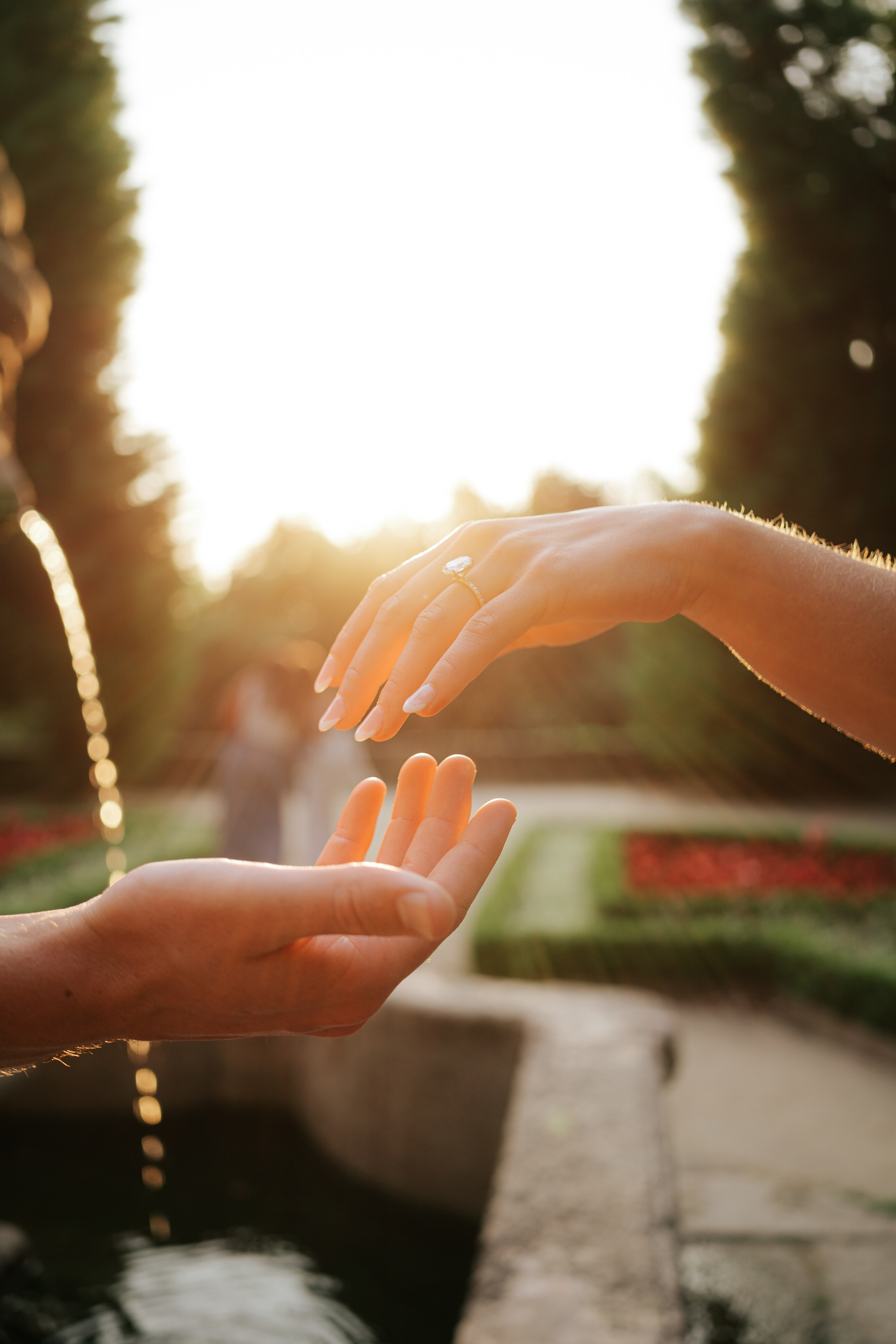 Wedding Proposal Braden. Davi Valente