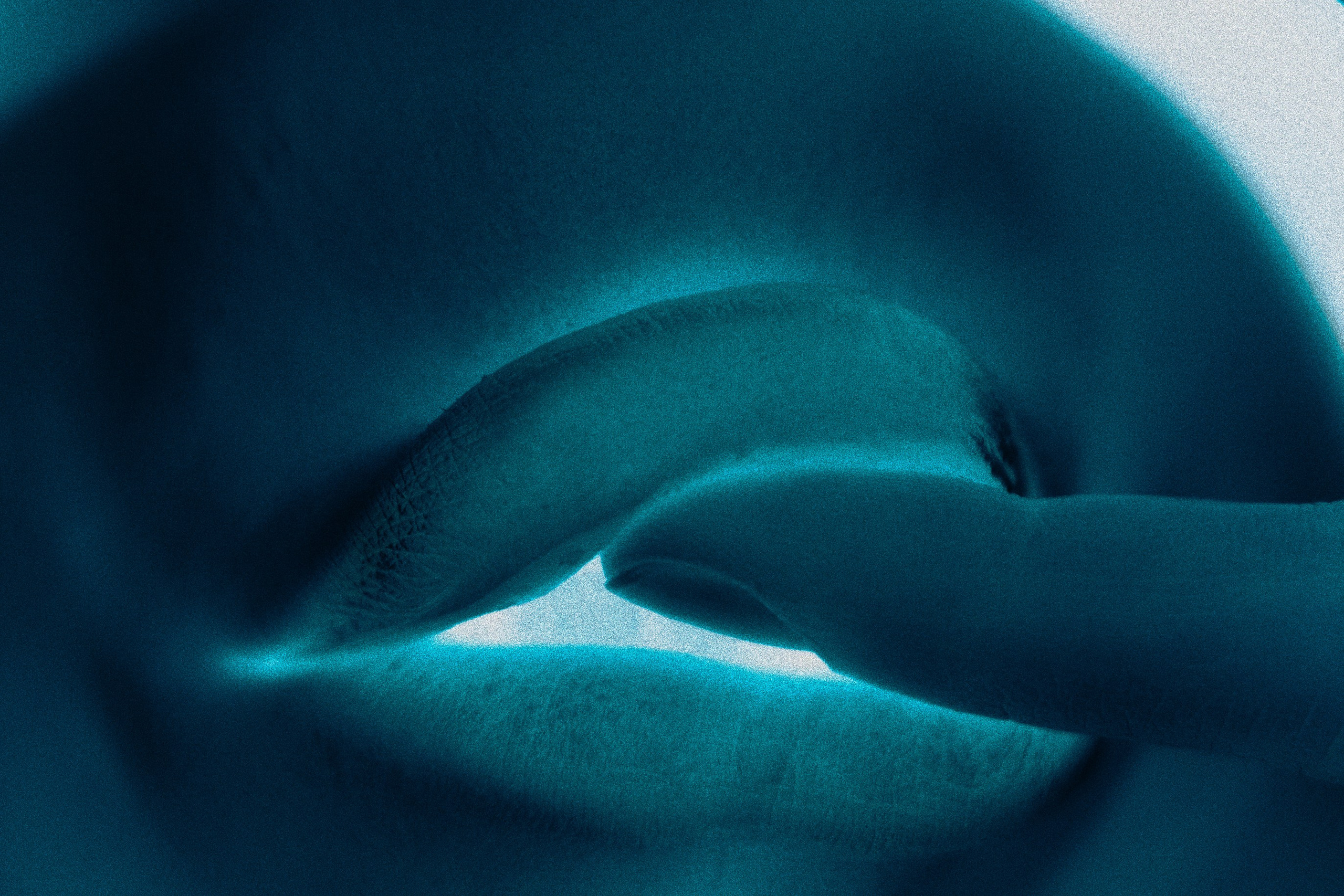 Заказать фотосессию Валенсия, Испания, Европа. Гуськов Станислав — Фотограф Барселона | Валенсия | Испания | Европа