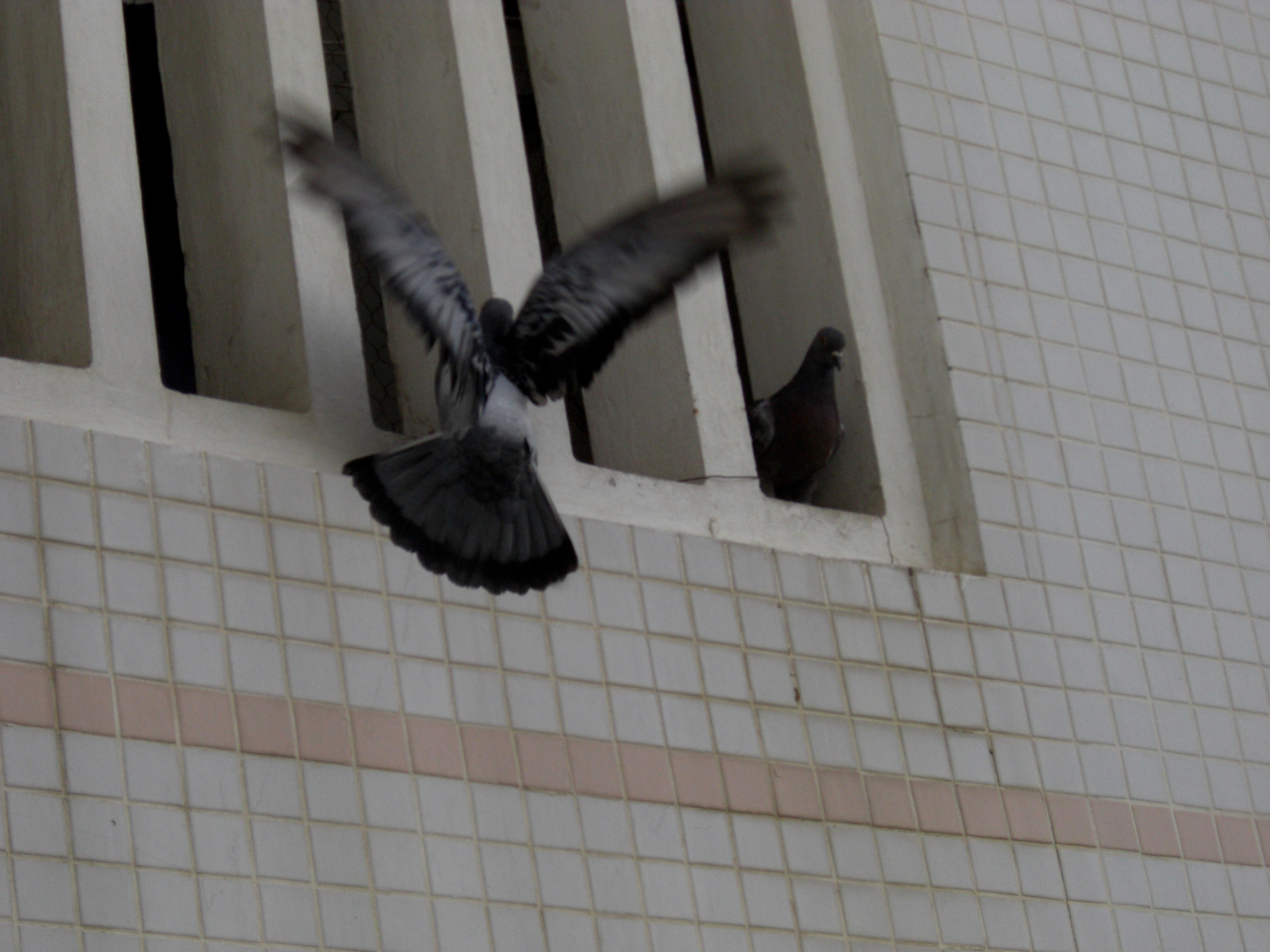 Everything from everything