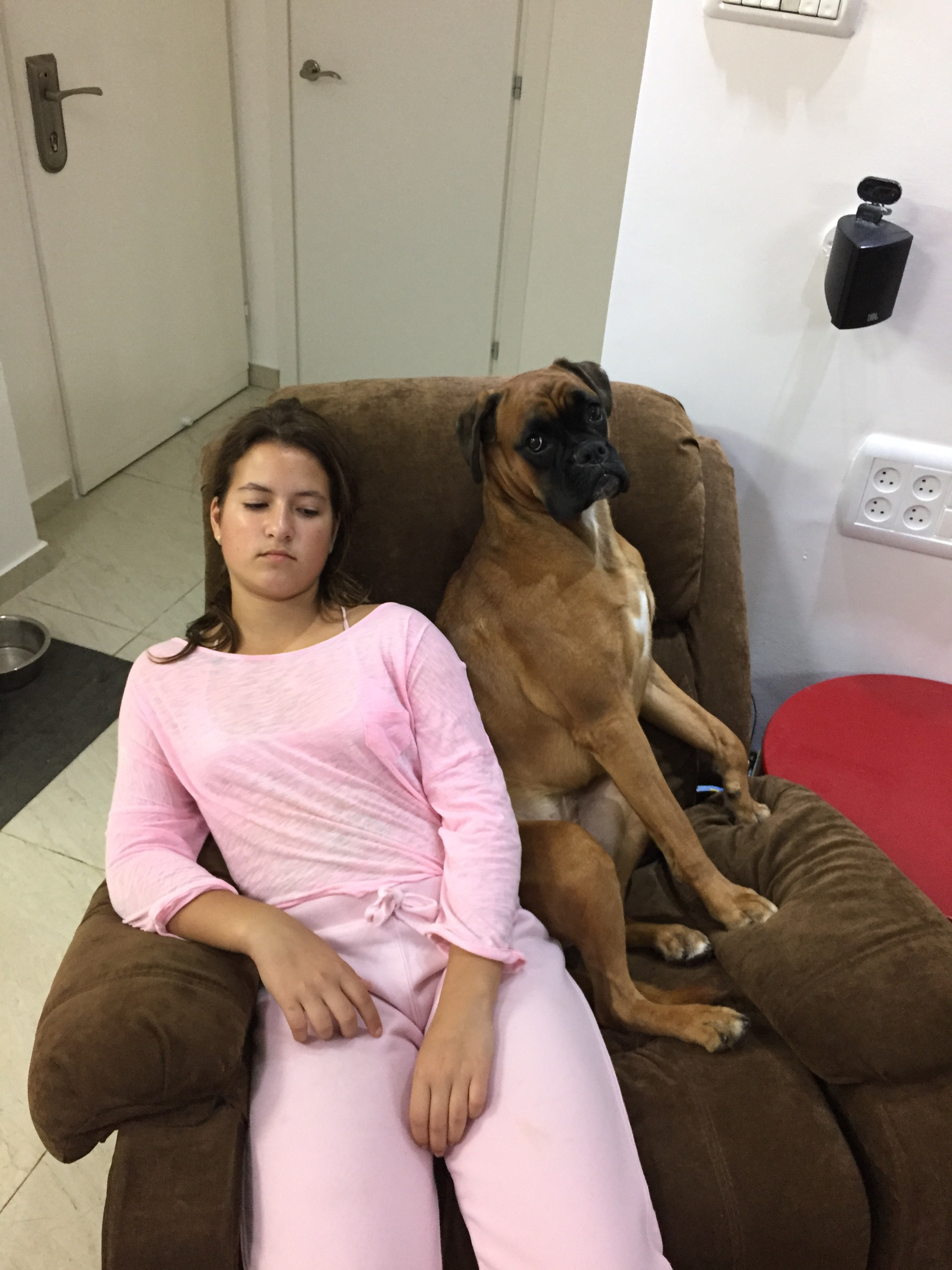 My ״Star״ Boxer Dog