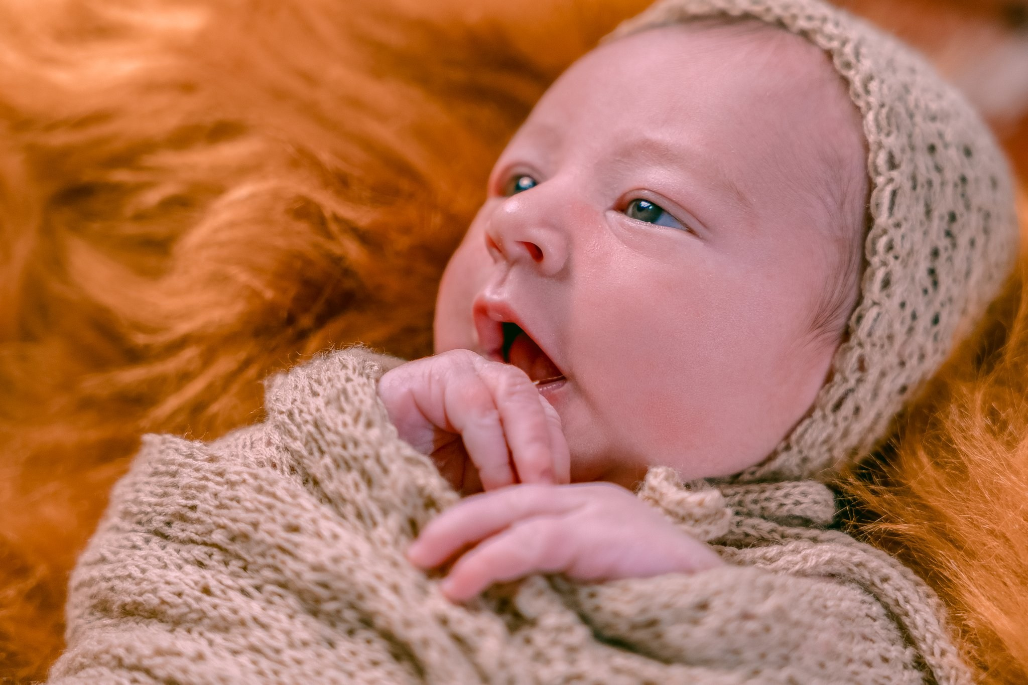 Vicente — 09/04/2024. Luiz Medeiros Produções