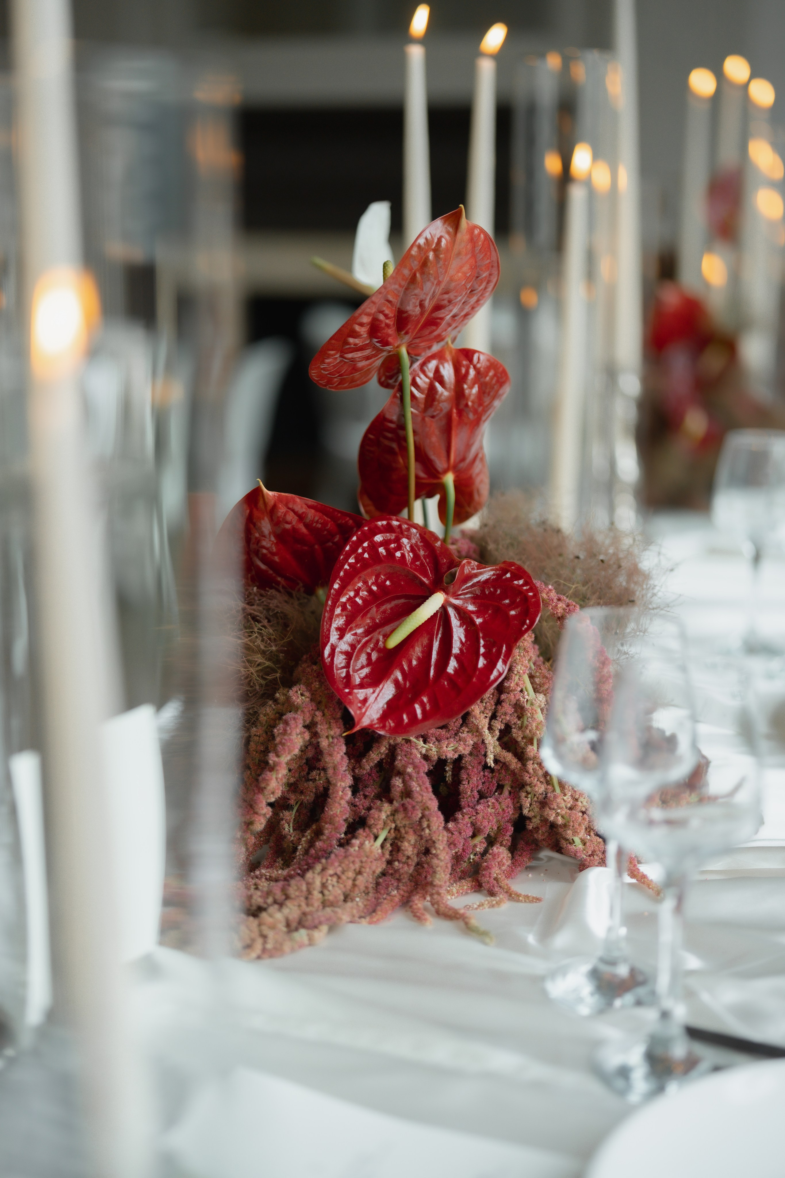 Amir and Maya. Anna Krasnova Wedding photographer