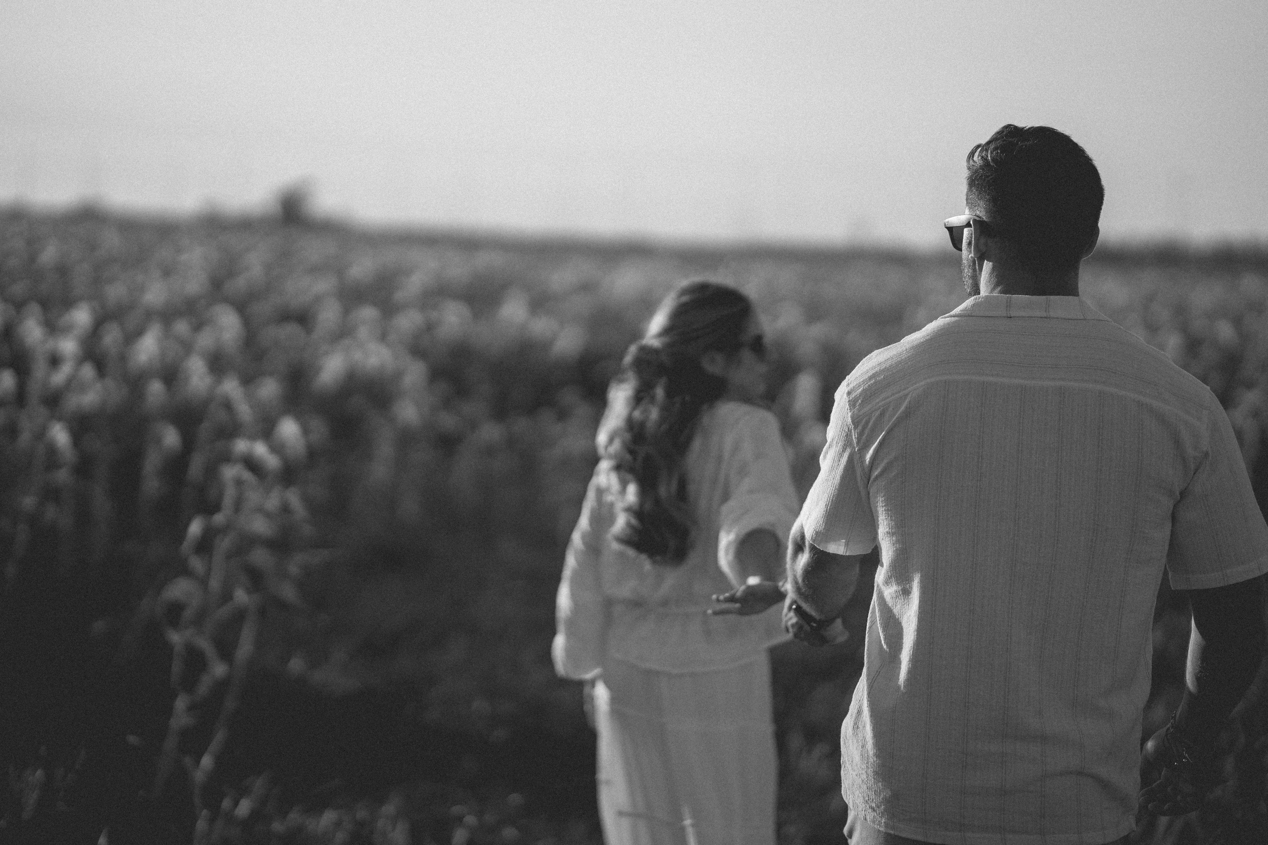 Fotografía y vídeo de bodas | Alianza Weddings