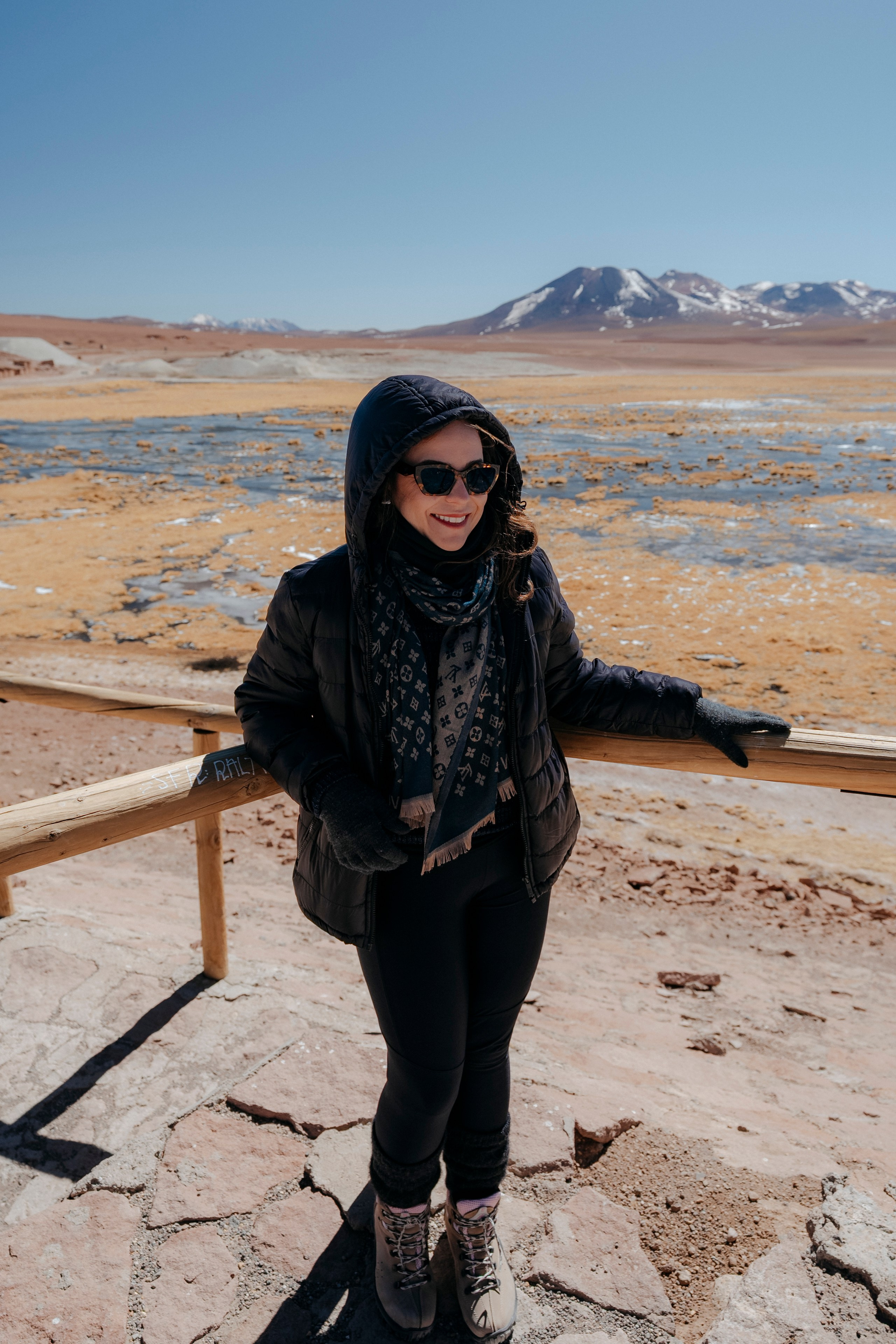 Geyser El Tatio (cobertura en tour privado). Principal