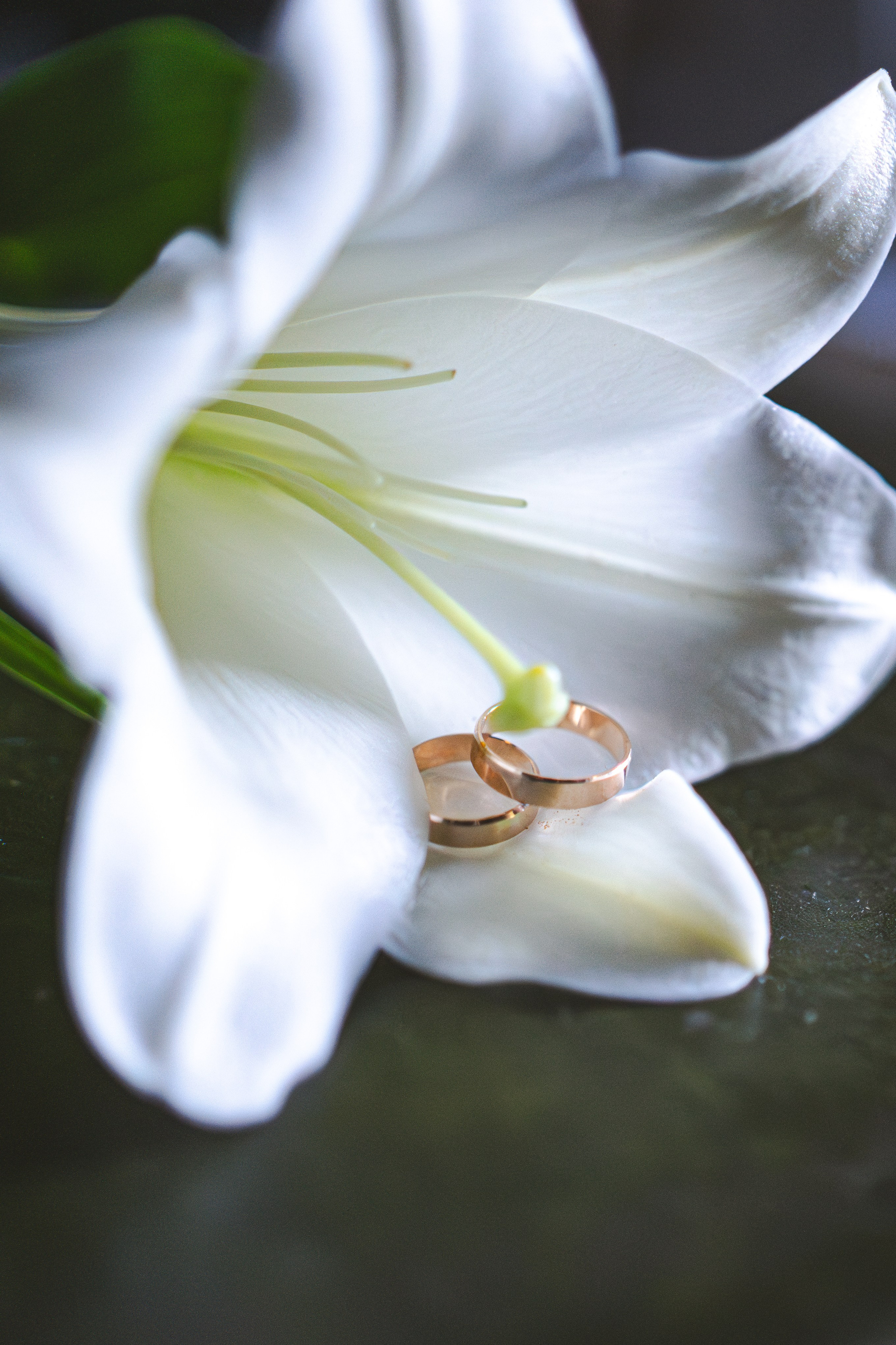 Aida & Marius. Lina Labanauskienė Photography