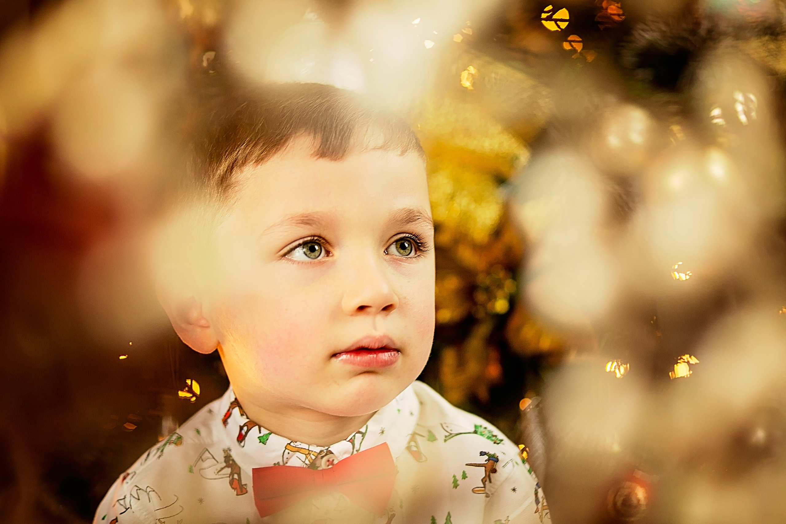 Christmas mini sessions Mallow, Christmas minis Ireland