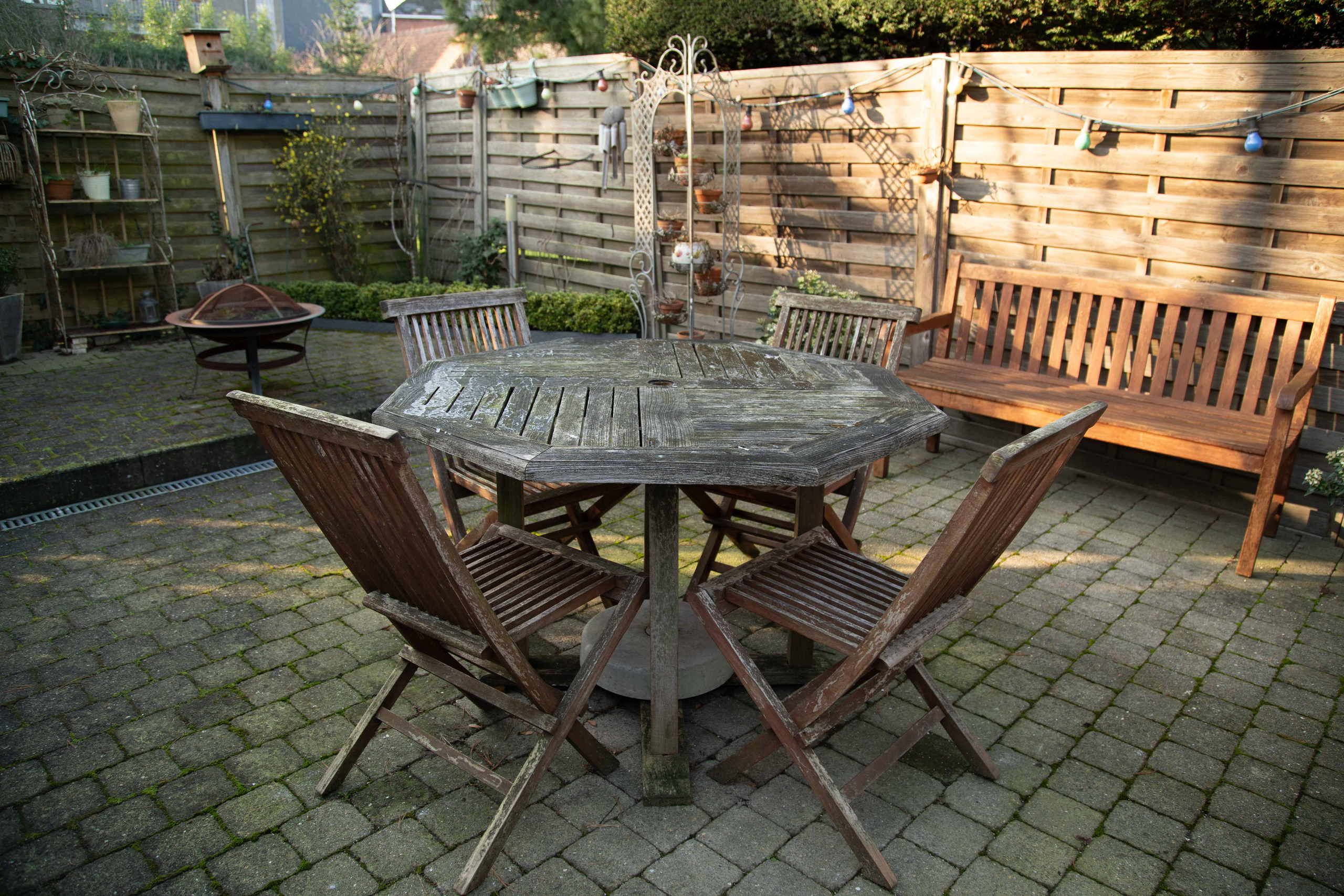 Carpe Diem. Tatyana Van Hedent een fotograaf te Zele, Oost-Vlaanderen