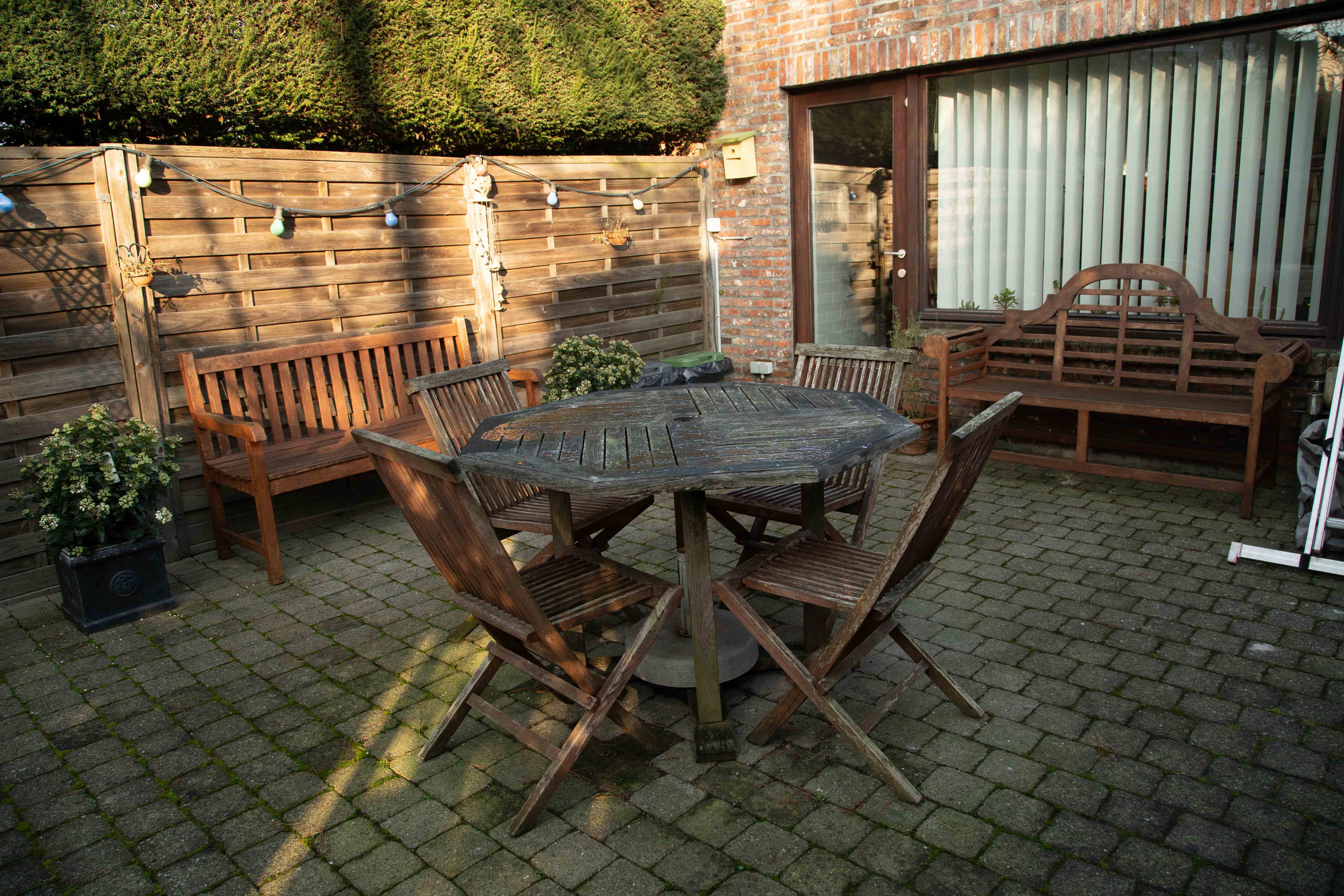 Carpe Diem. Tatyana Van Hedent een fotograaf te Zele, Oost-Vlaanderen